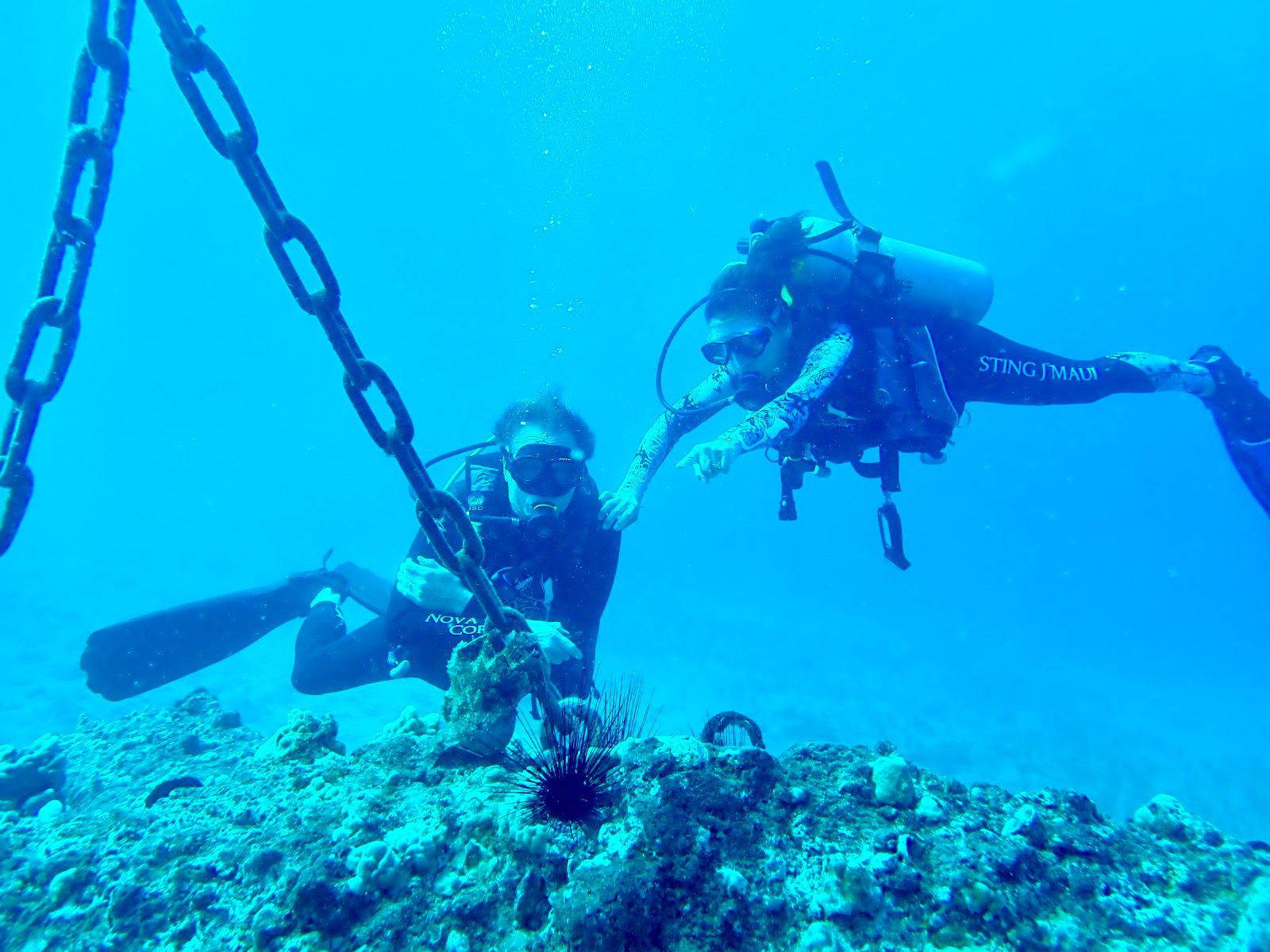 Photo 1 of Island Style Diving in Wailea, Maui