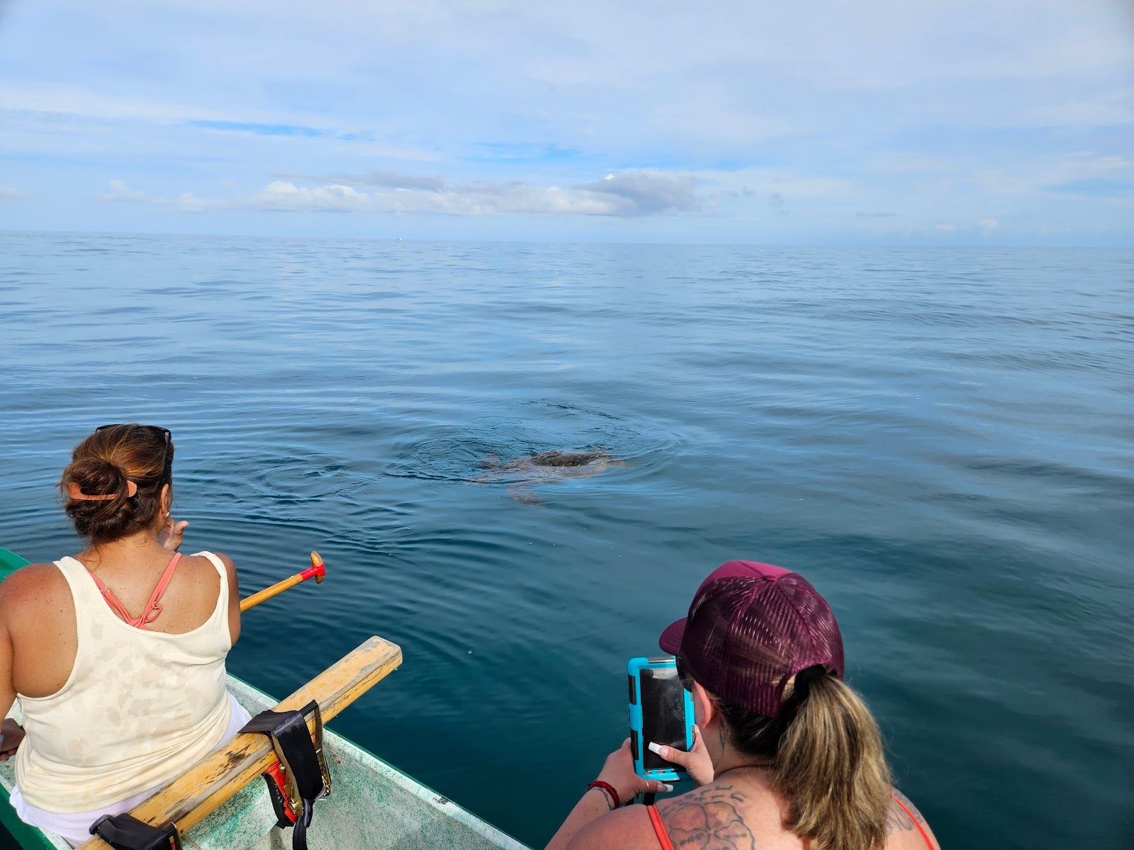 Photo 10 of Sea & Board Sports Hawaii in Haleʻiwa, Oahu