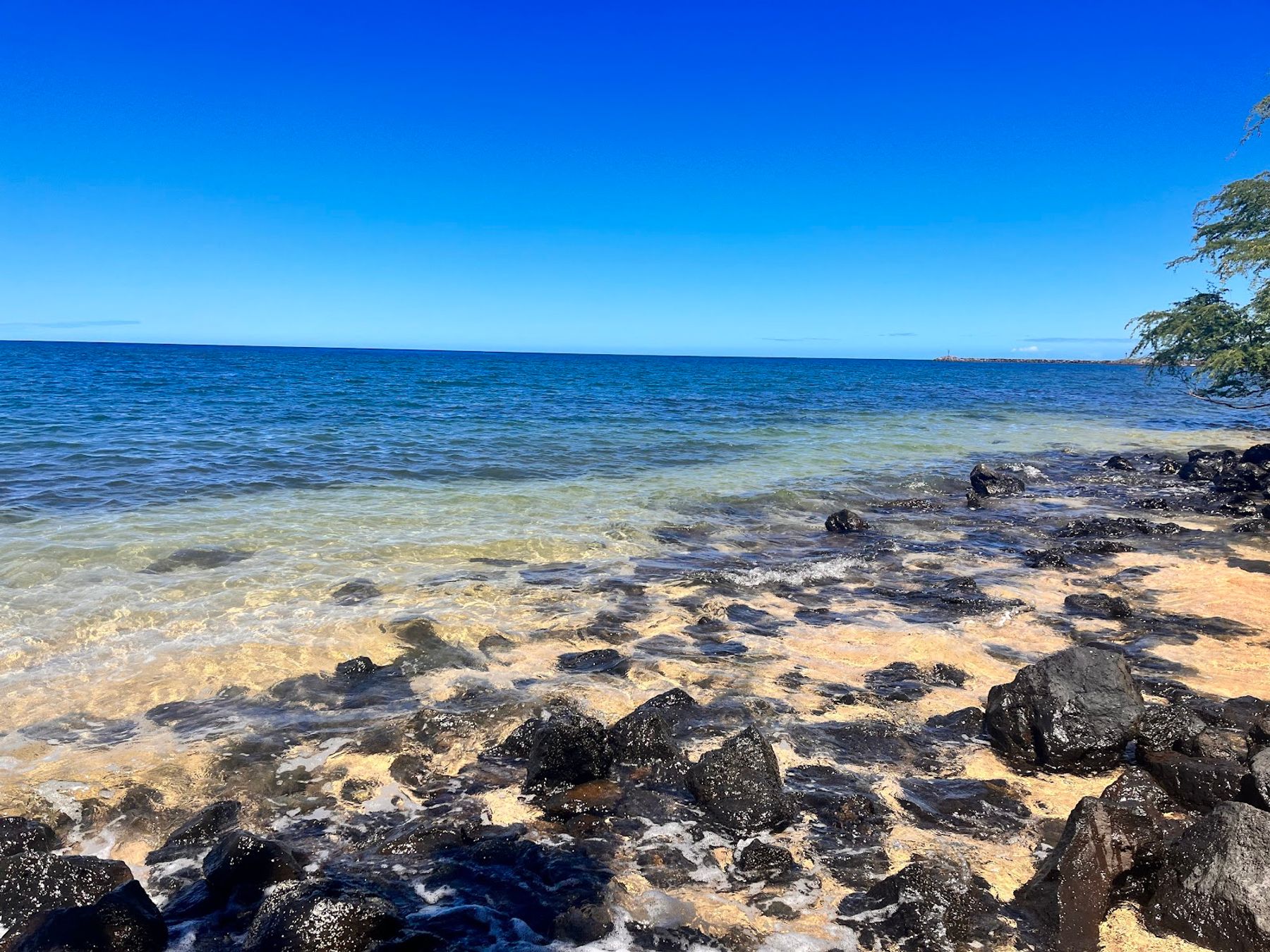 Photo 8 of Spencer Beach Park in Mauna Kea Beach, Big Island
