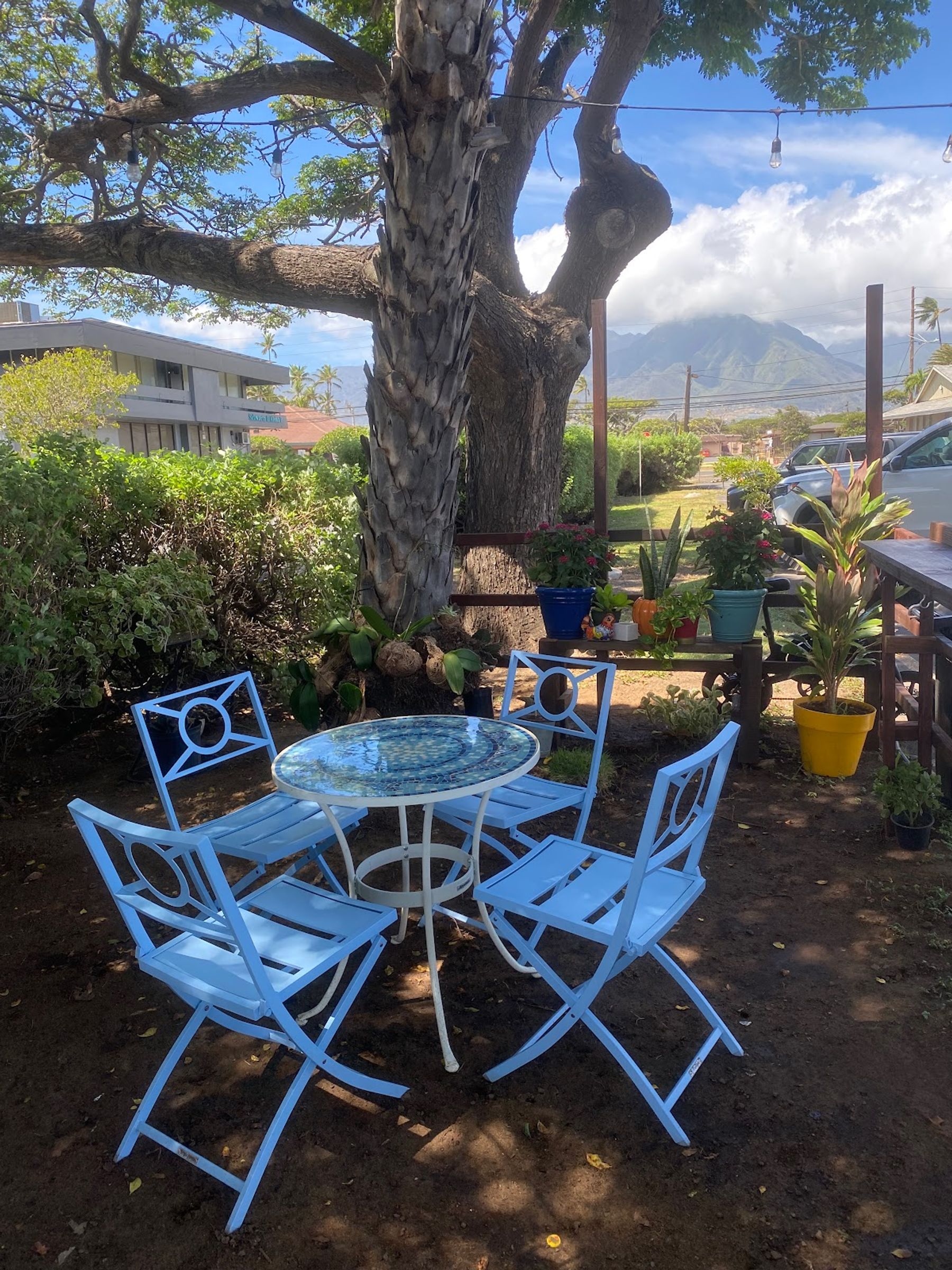 Photo 1 of Ono Tacos Hawaii in Kahului, Maui