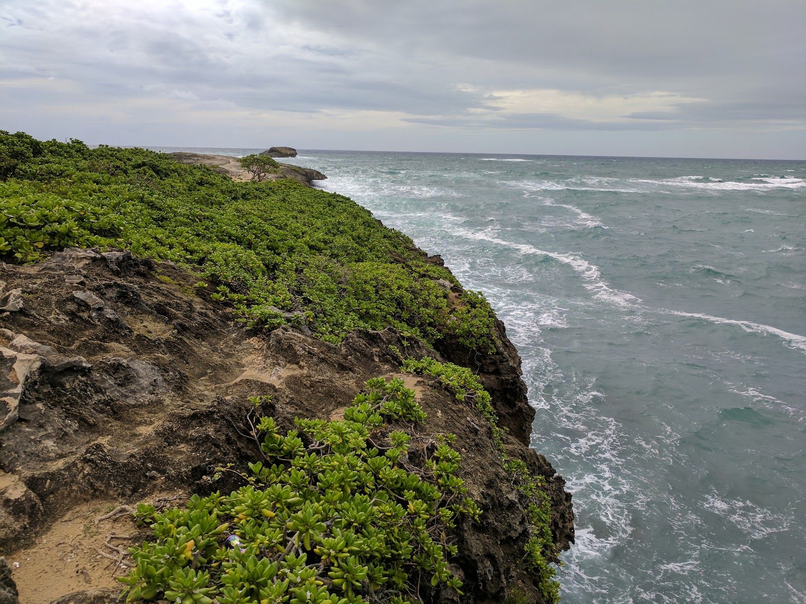 Photo 10 of Lāʻie Point State Wayside in Lāʻie, Oahu