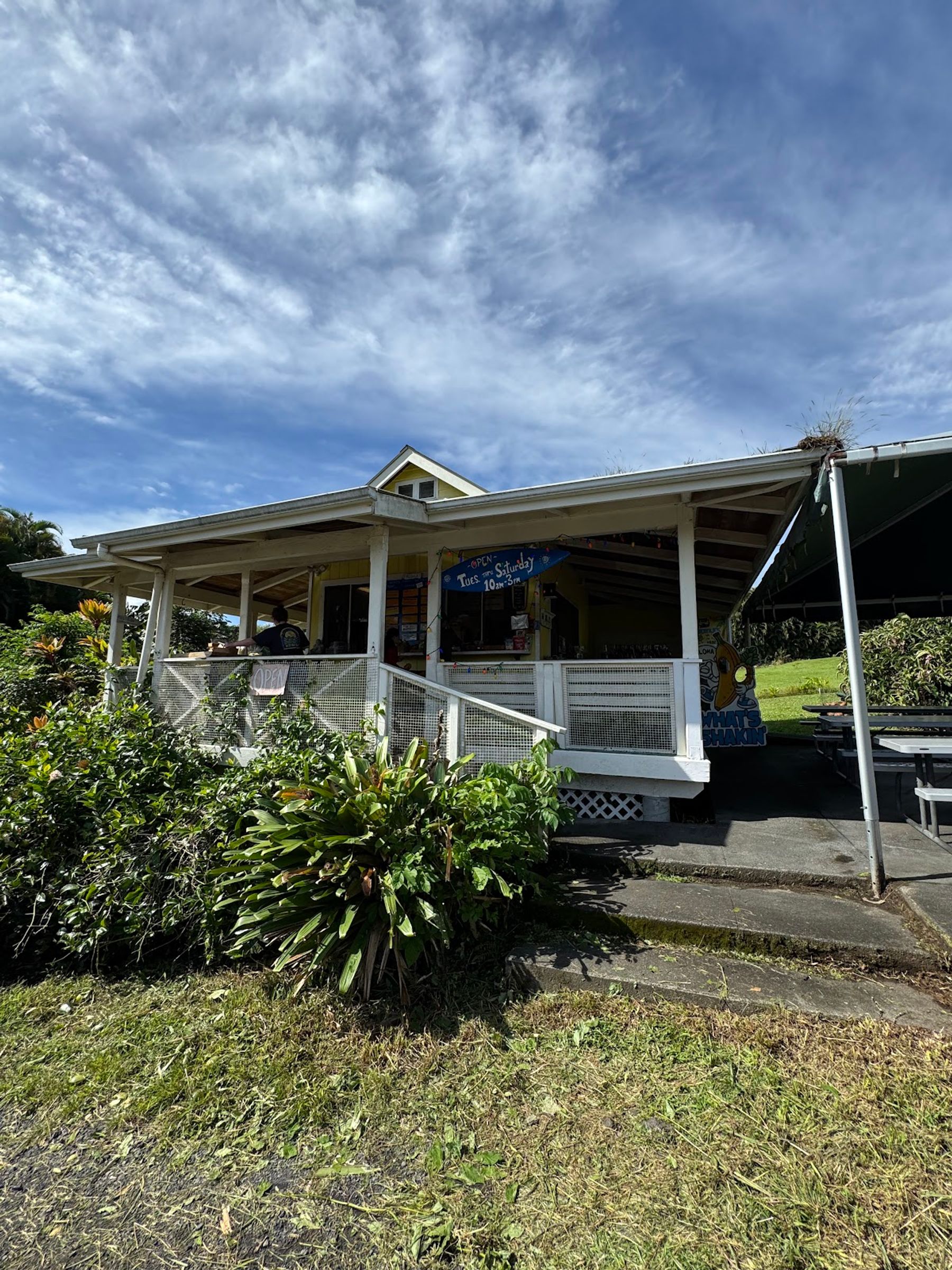 Photo 3 of What's Shakin' in Greater Hilo, Big Island