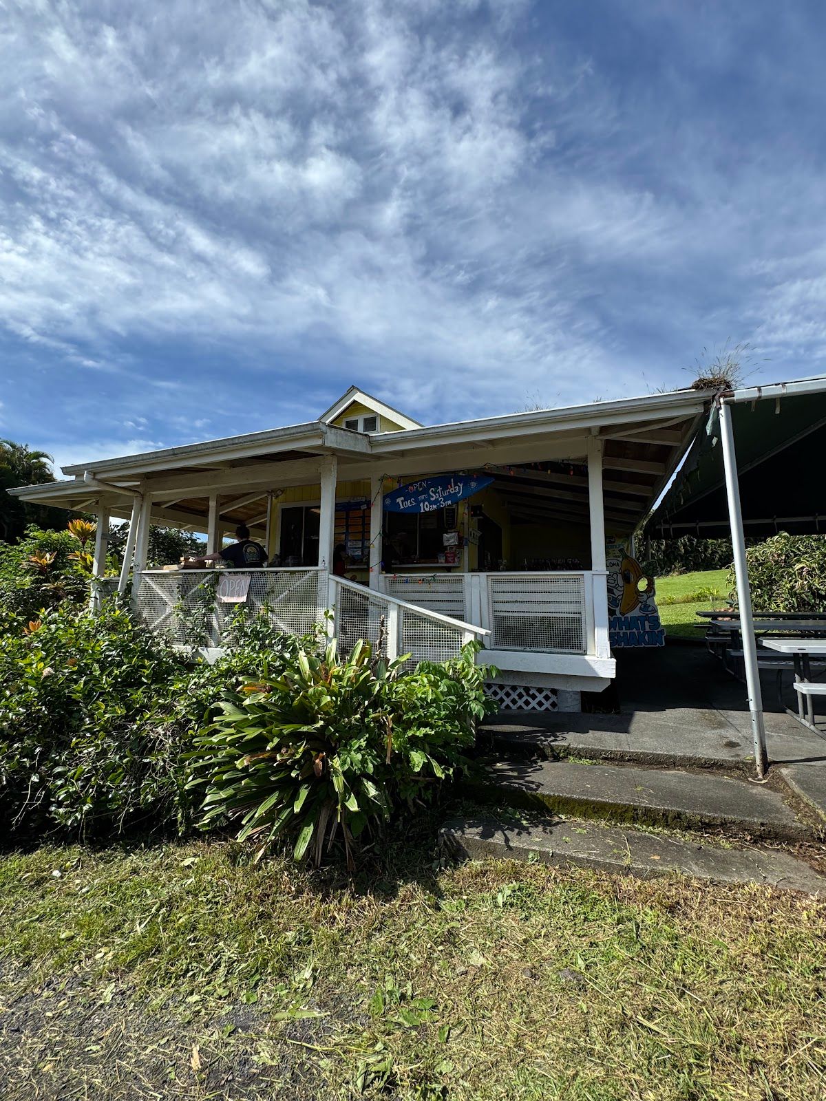 Photo 3 of What's Shakin' in Greater Hilo, Big Island