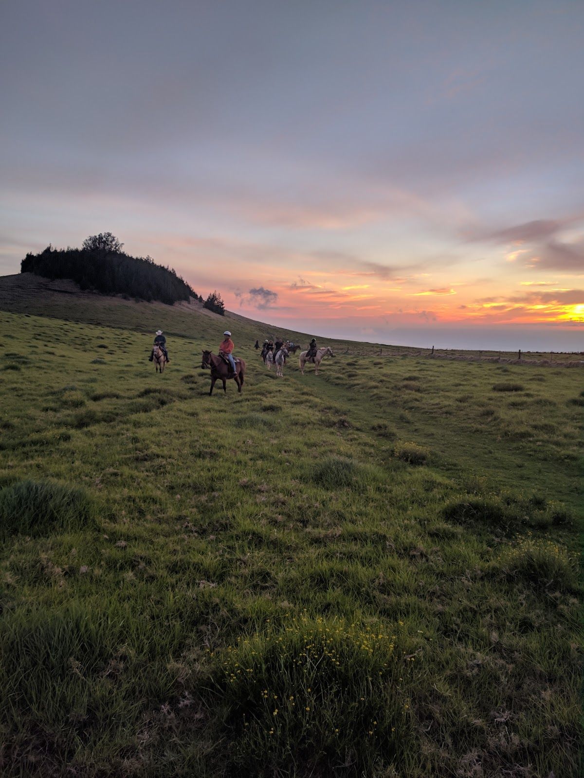 Photo 9 of Paniolo Adventures in Waimea, Big Island