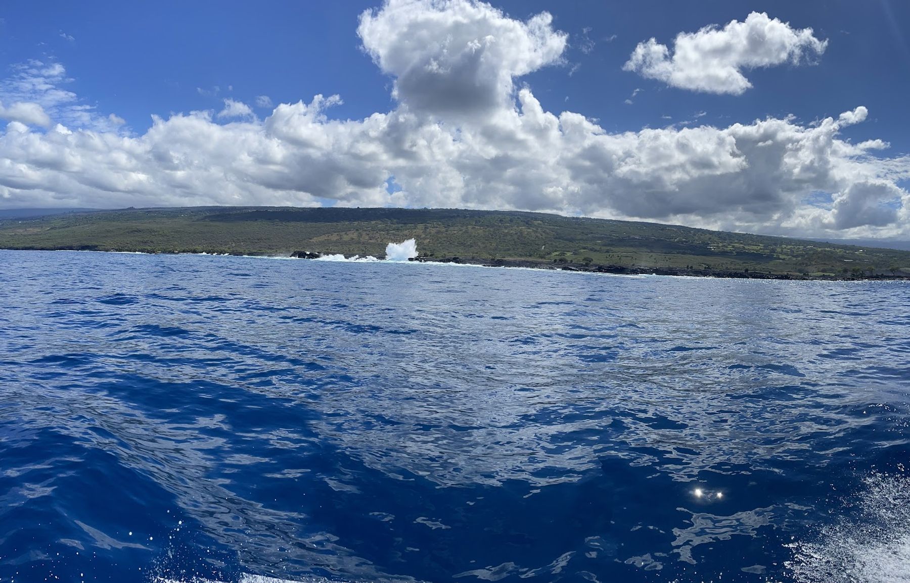 Photo 7 of Captain Cook Cruises in Kailua-Kona, Big Island