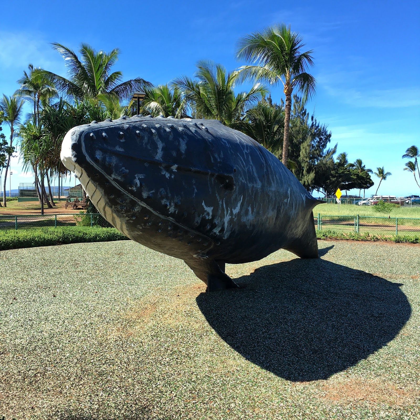 Photo 2 of Kalama Park in Kīhei, Maui