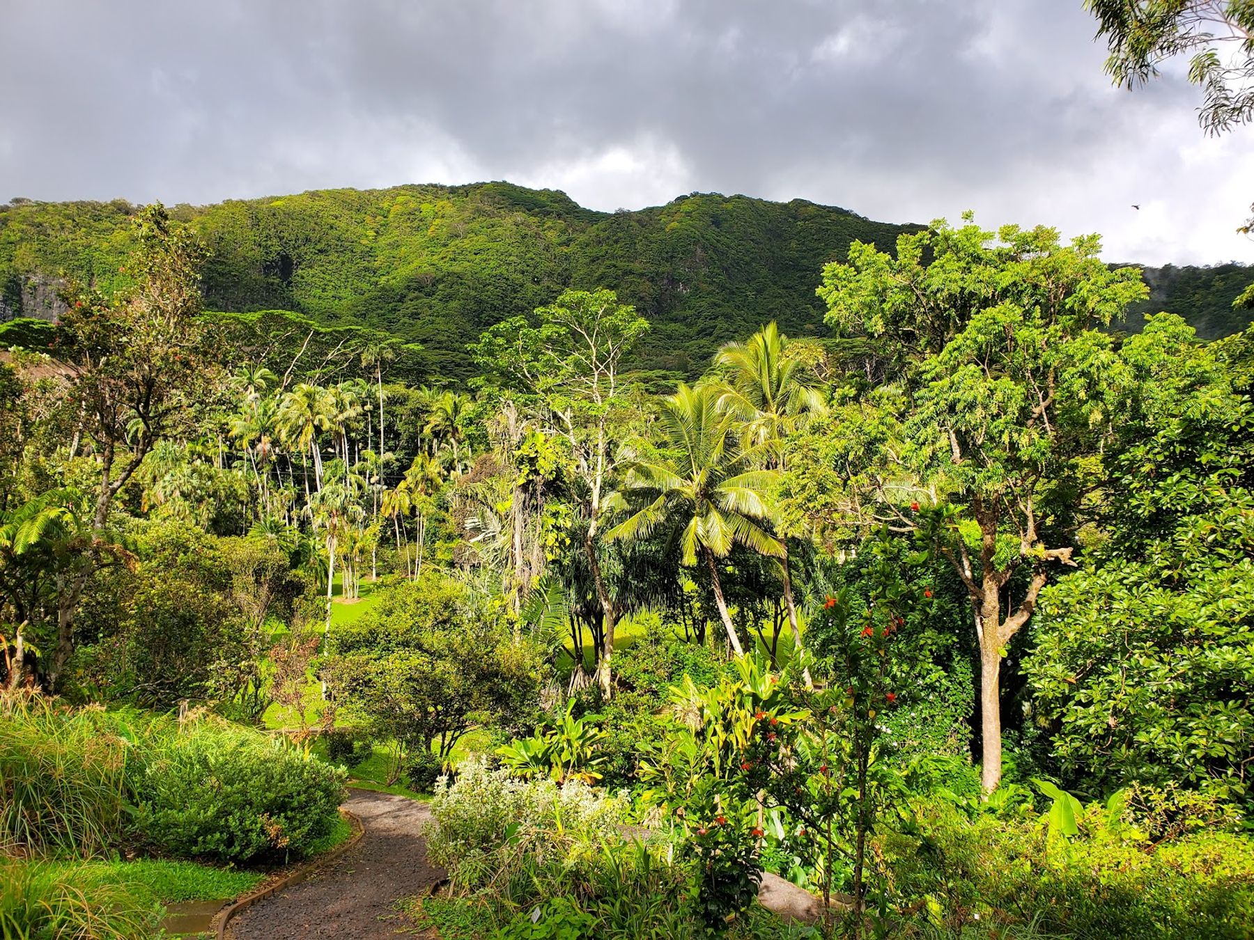 Photo 4 of Lyon Arboretum in Mānoa, Makiki & Nuʻuanu, Oahu