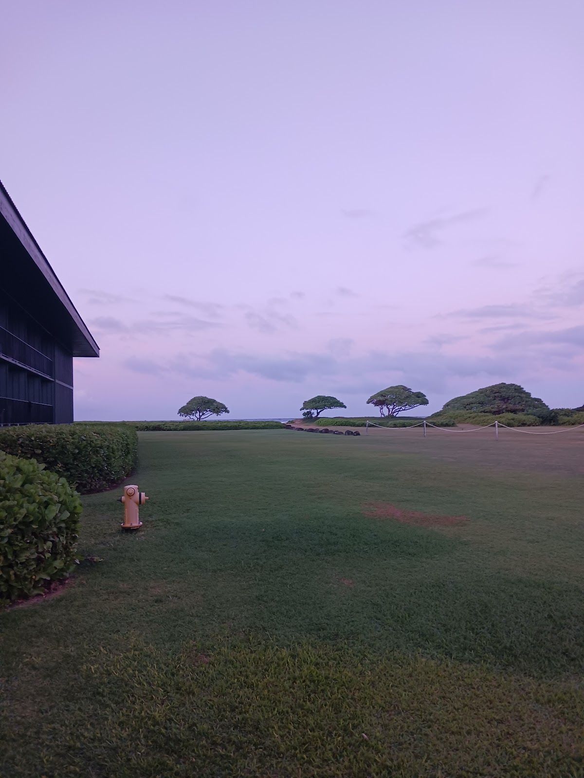 Photo 9 of Driftwood Bar And Grille in Līhuʻe, Kauai