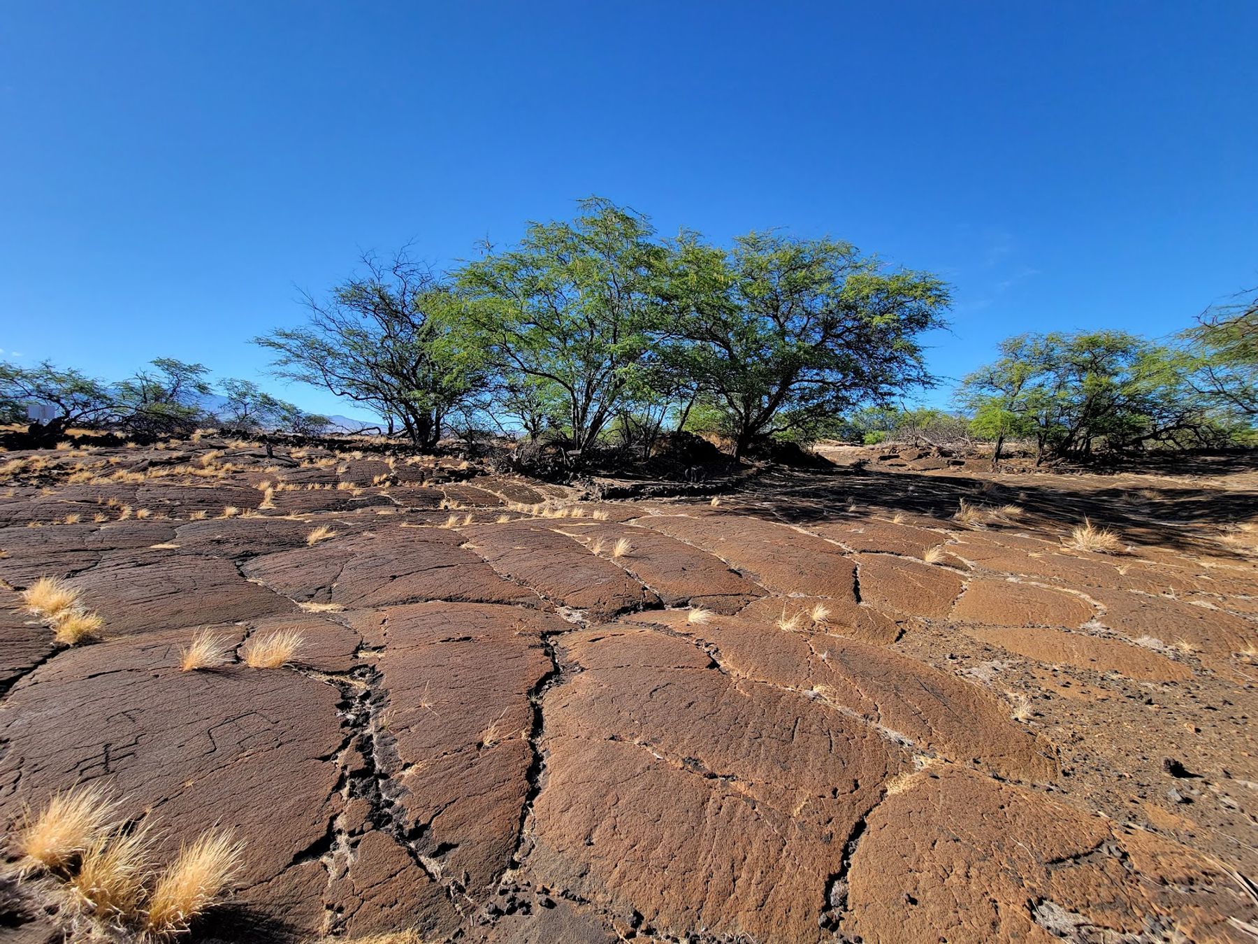Photo 2 of Puakō Petroglyph Park in Waikoloa, Big Island