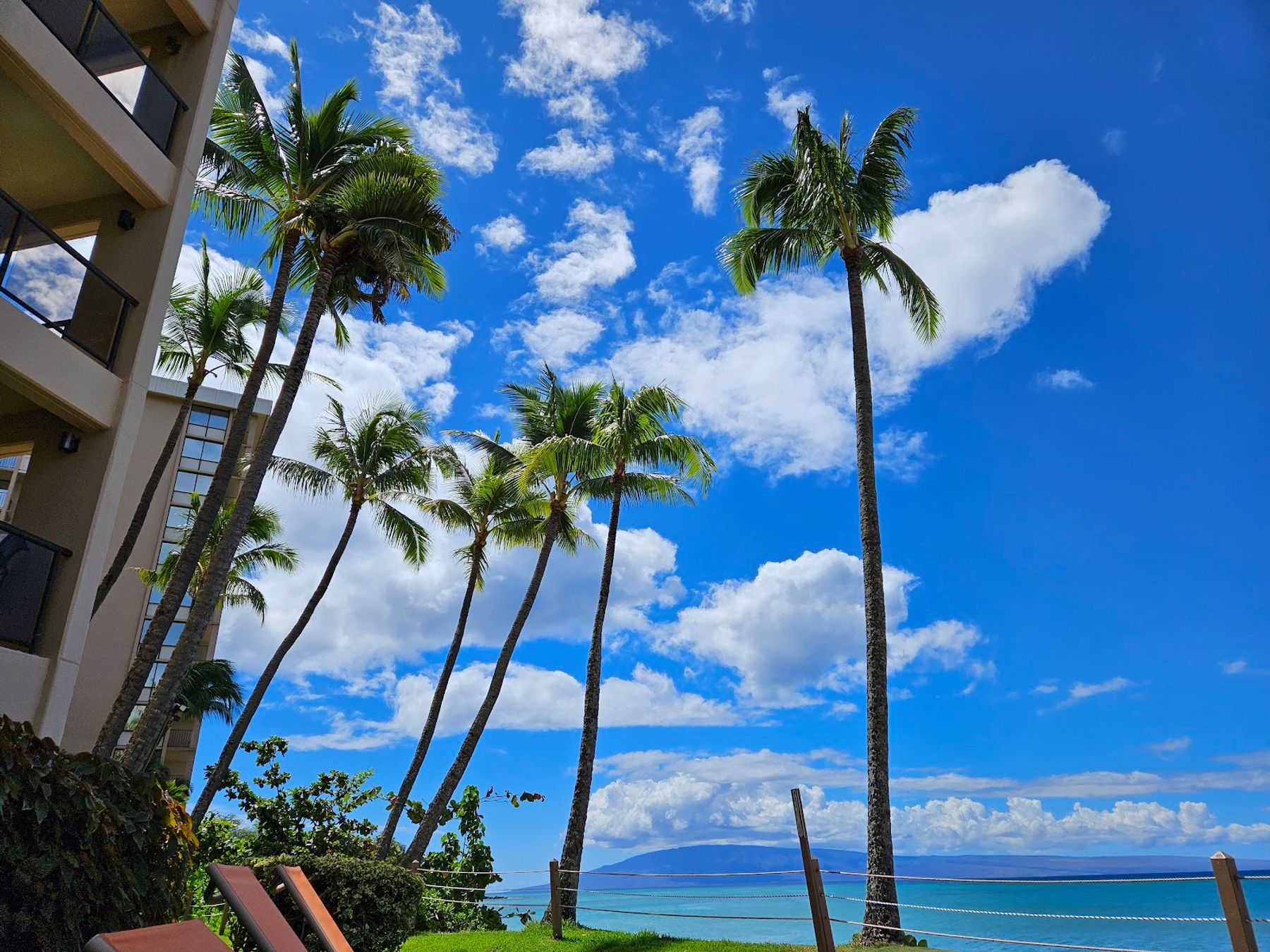 Photo 8 of Kahana Beach Resort in Kapalua, Maui