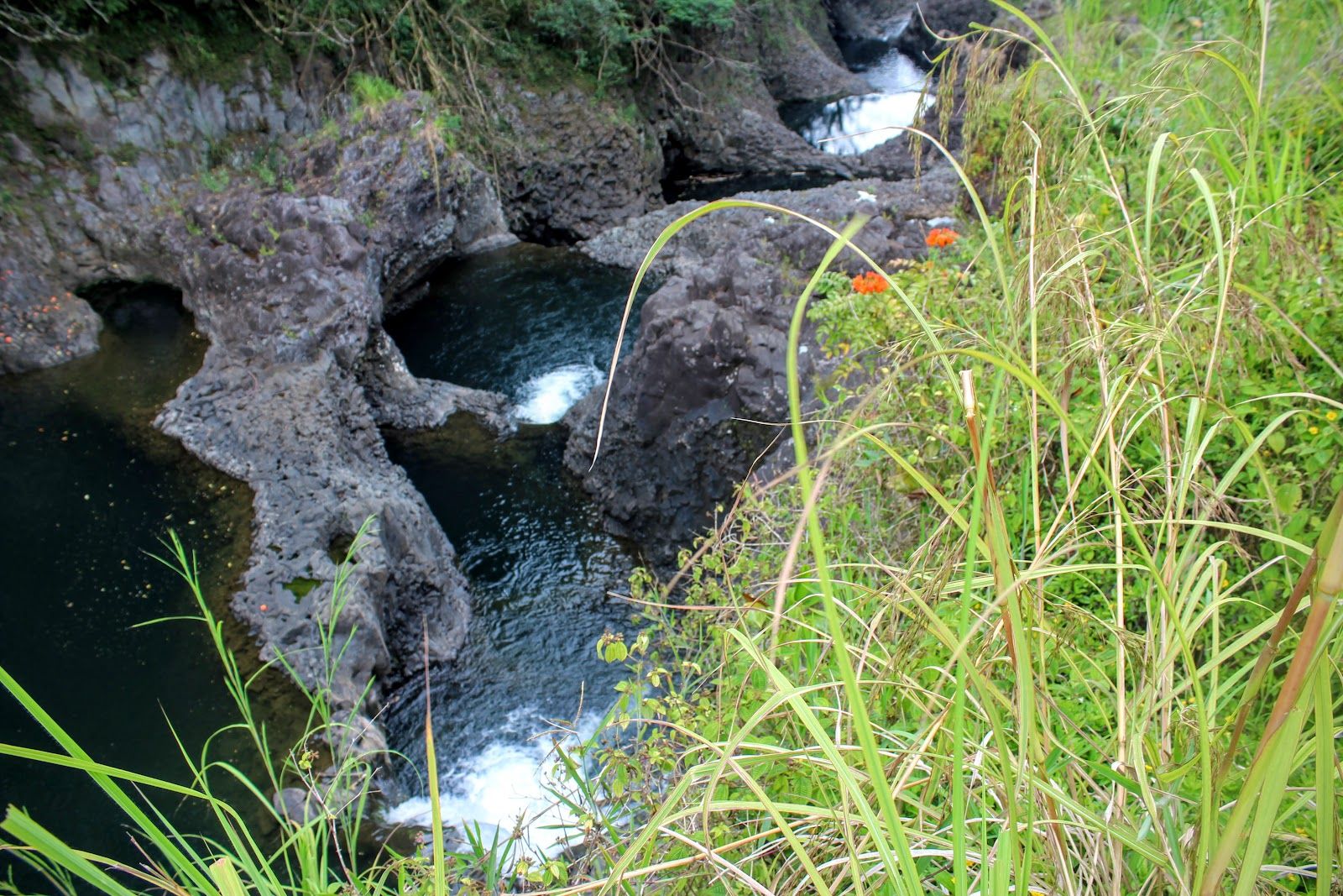 Photo 4 of Peepee Falls in Hilo, Big Island