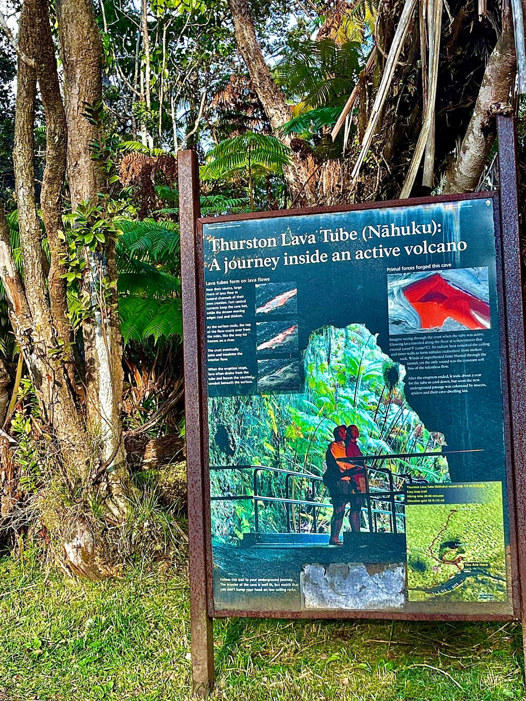 Photo 5 of Nāhuku Lava Tube in Volcano, Big Island