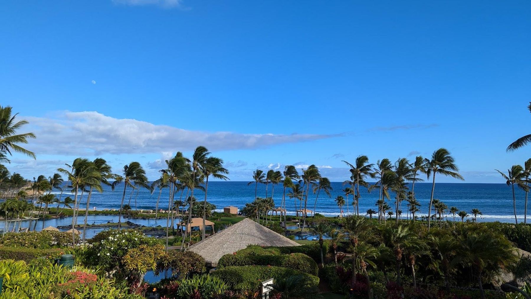 Stevenson's Library restaurant in Poʻipū, Kaua‘i photo 5