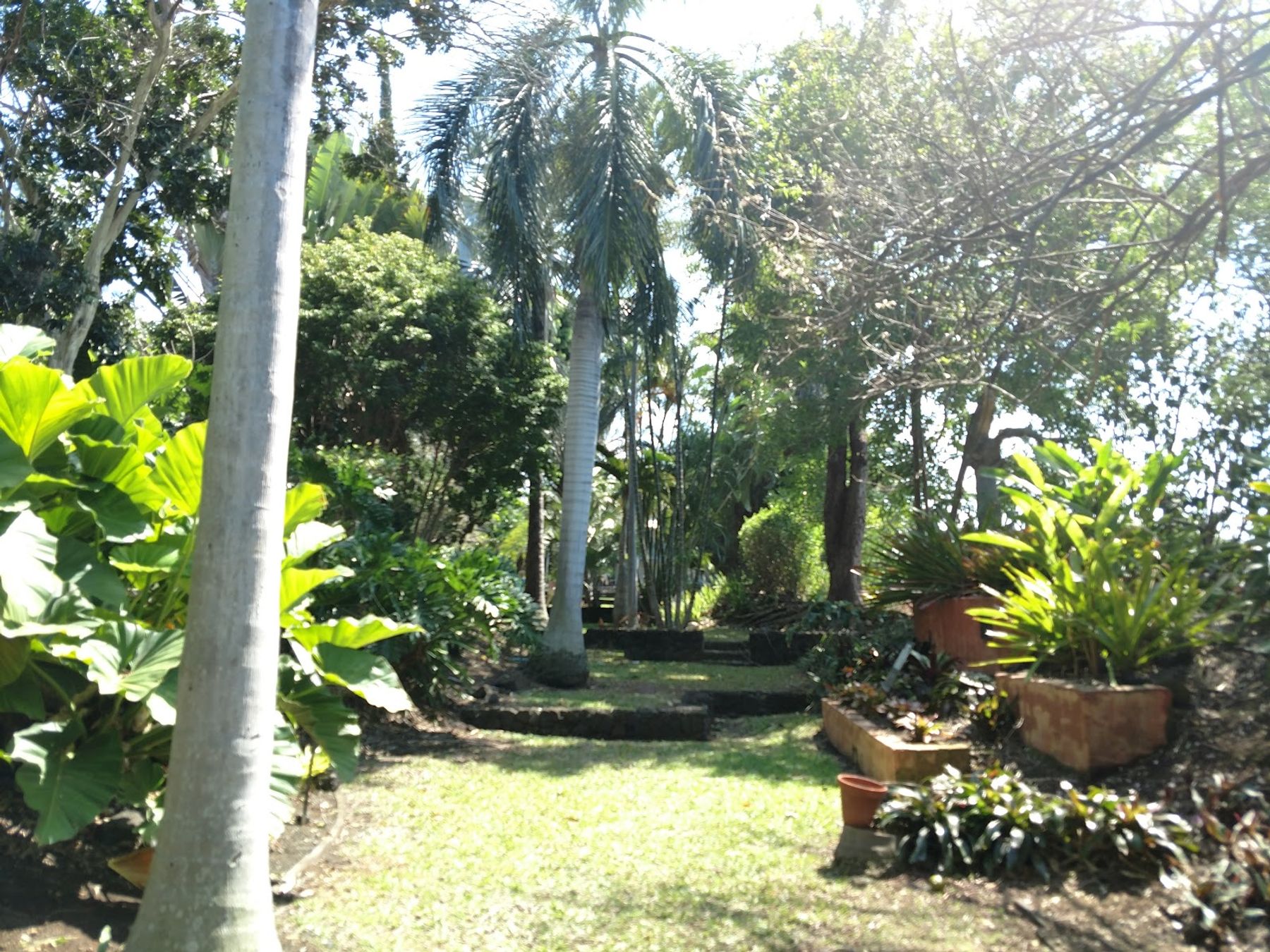 Photo 4 of Sadie Seymour Botanical Gardens and the Kona Educational Center in Kailua-Kona, Big Island