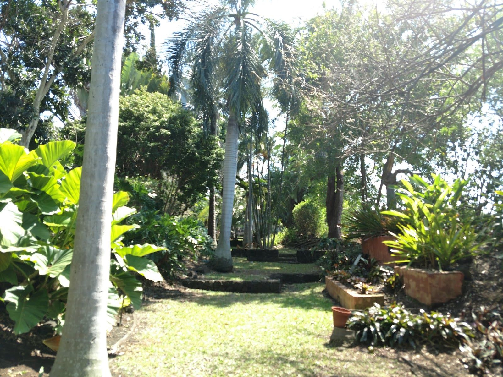 Photo 4 of Sadie Seymour Botanical Gardens and the Kona Educational Center in Kailua-Kona, Big Island