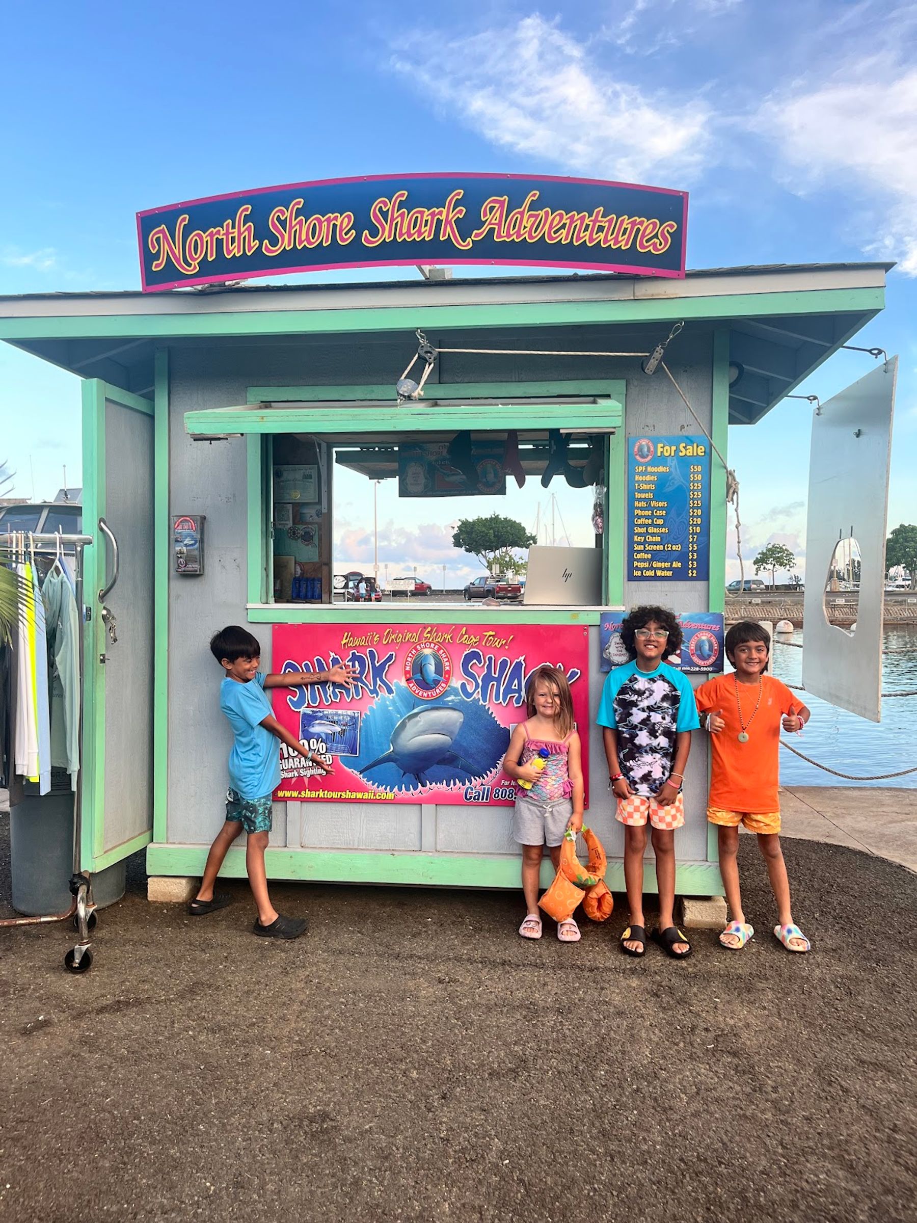 Photo 6 of North Shore Shark Adventures in Haleʻiwa, Oahu