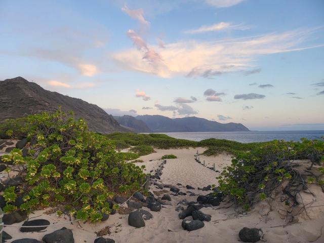 Remote coastline and open trail scenery at Kaena Point State Park.