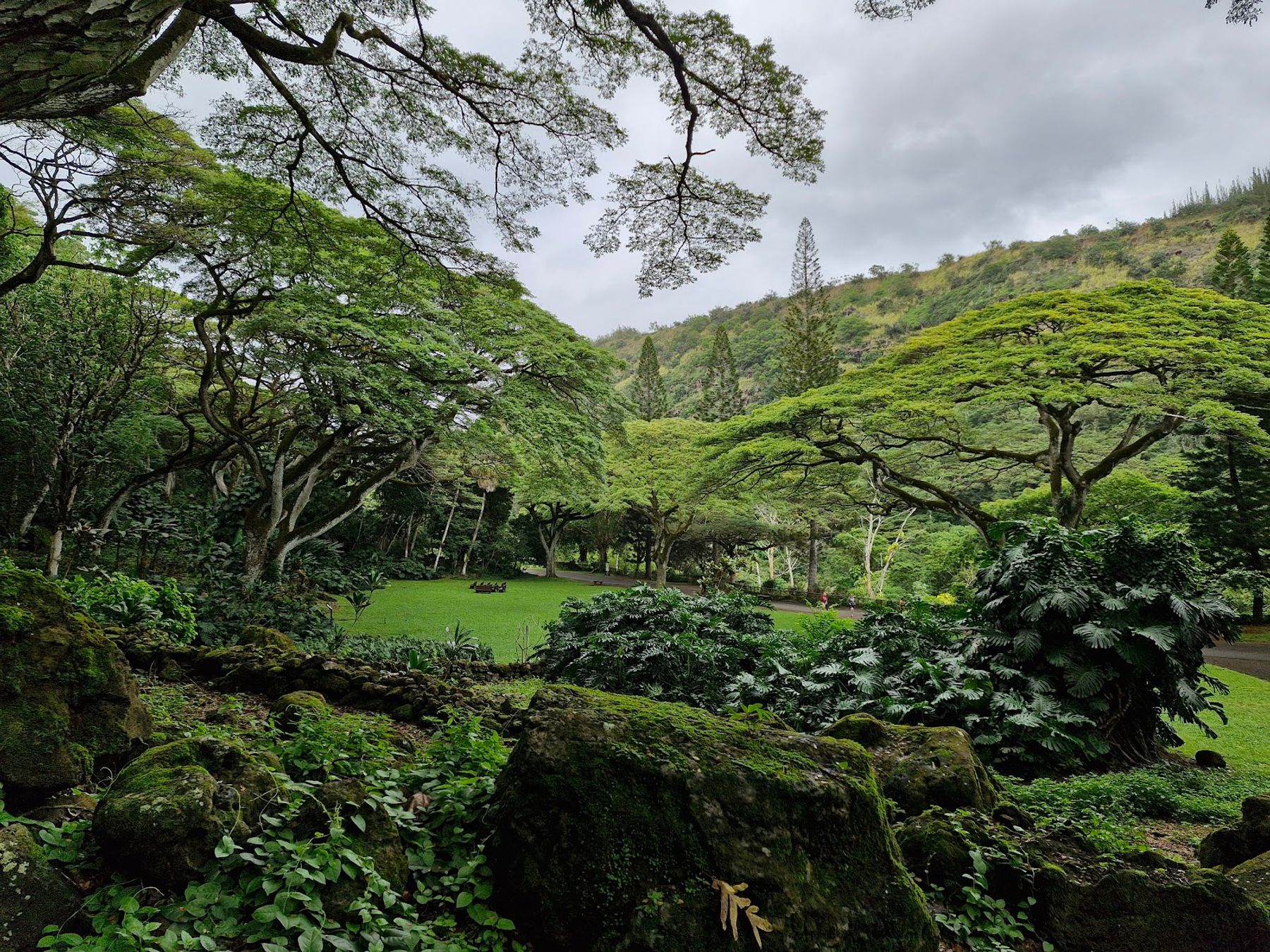 Photo 2 of Waimea Botanical Garden in Pūpūkea, Oahu