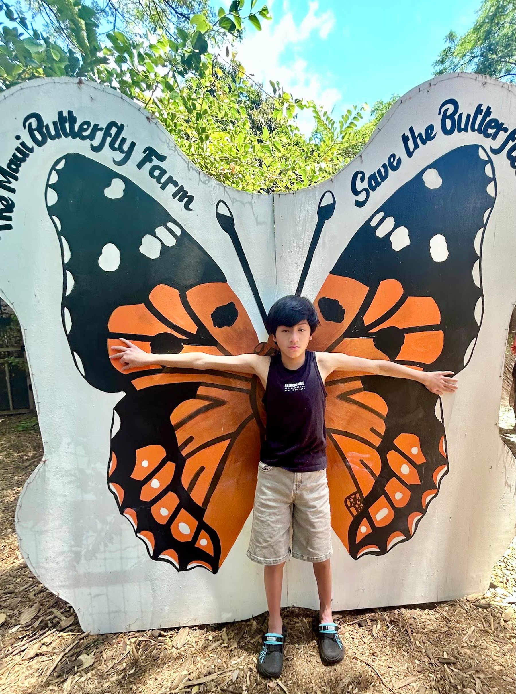 Photo 2 of The Maui Butterfly Farm in Olowalu, Maui