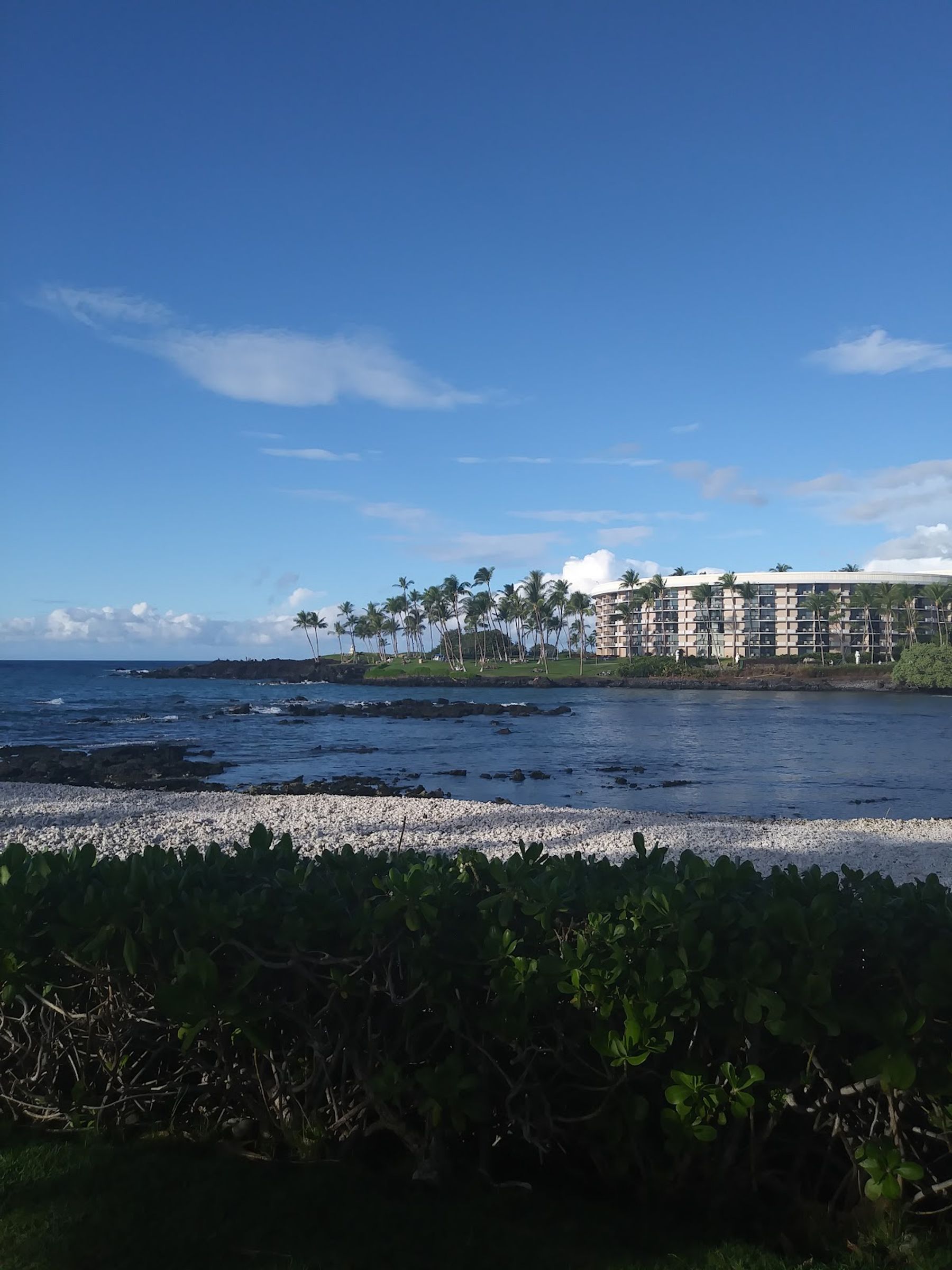 Photo 10 of Honolulu Coffee at Waikoloa Lagoon Tower in Waikoloa, Big Island