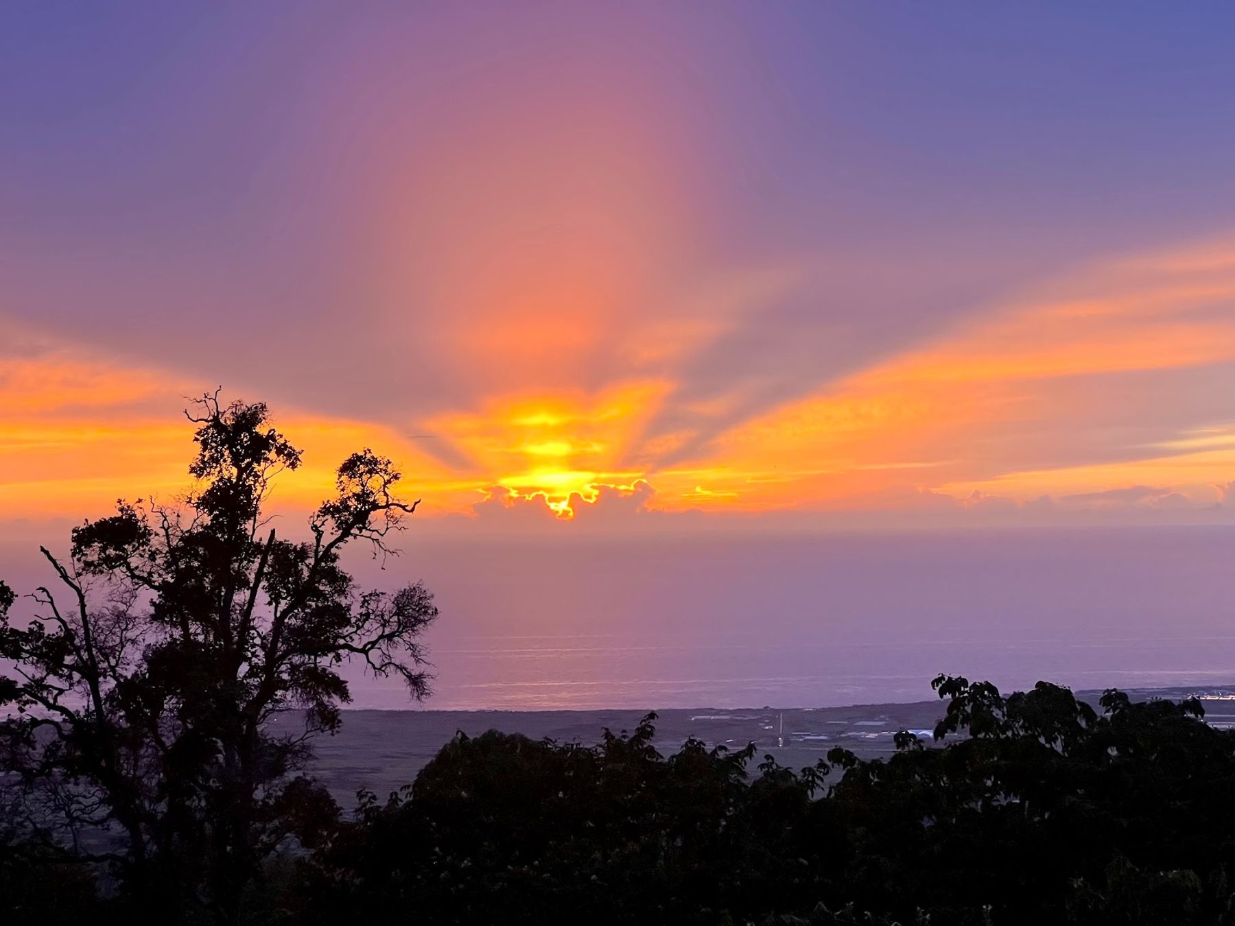 Photo 6 of Mango Sunset BnB Inn at Lyman Kona Coffee Farms in Hōlualoa, Big-island