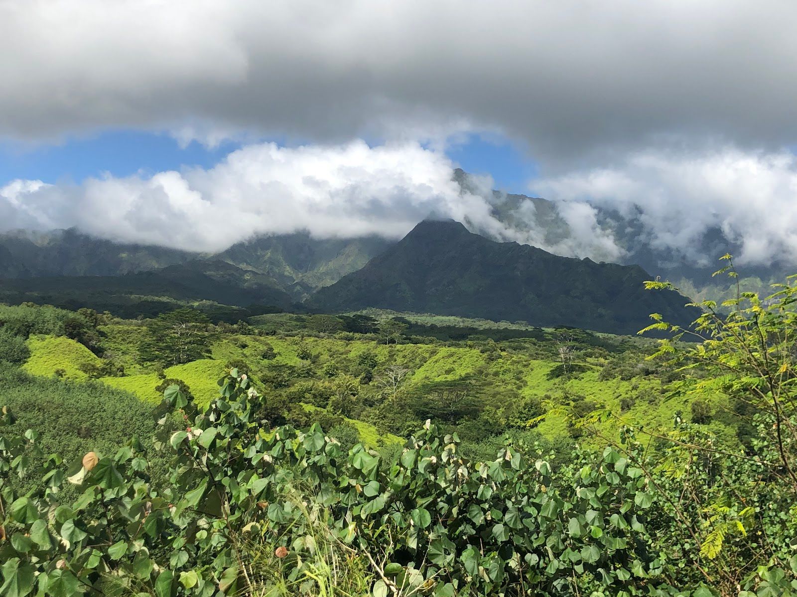 Kauai Z-Tours in Kōloa, Kaua‘i photo 5