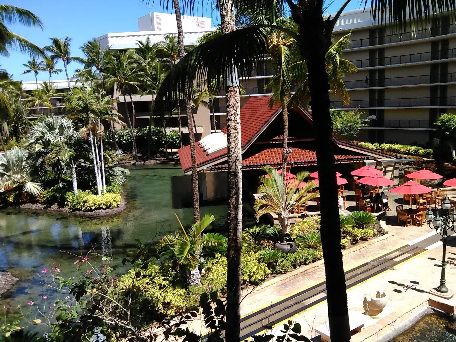 Photo 8 of Francis H. I'i Brown Golf Courses in Waikoloa, Big Island