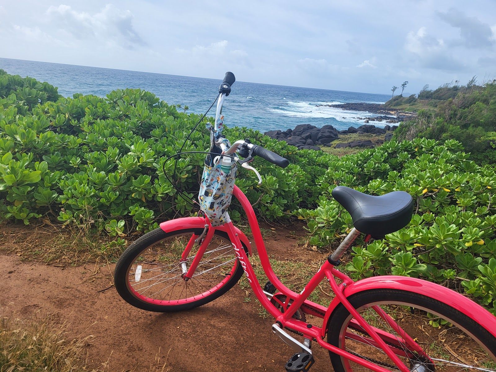 Hele On Kauai Bike Rentals in Kapaʻa, Kaua‘i photo 2