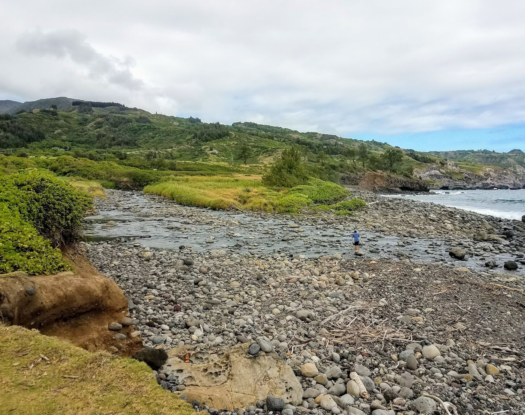 Photo 3 of Waihe‘e Coastal Dunes and Wetlands Refuge in Wailuku, Maui