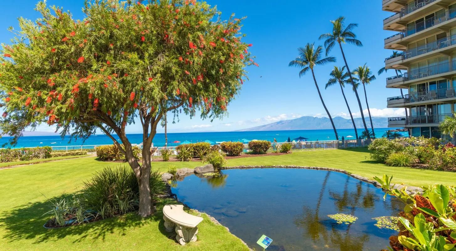 Photo 10 of The Whaler Resort in Kāʻanapali, Maui