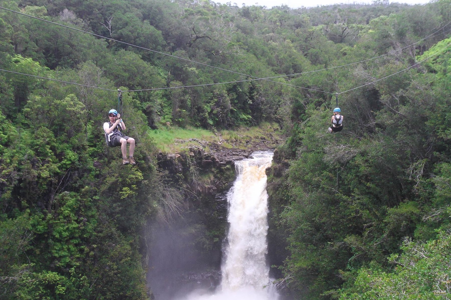 Photo 1 of Big Island Hilo Tours in Hilo, Big Island