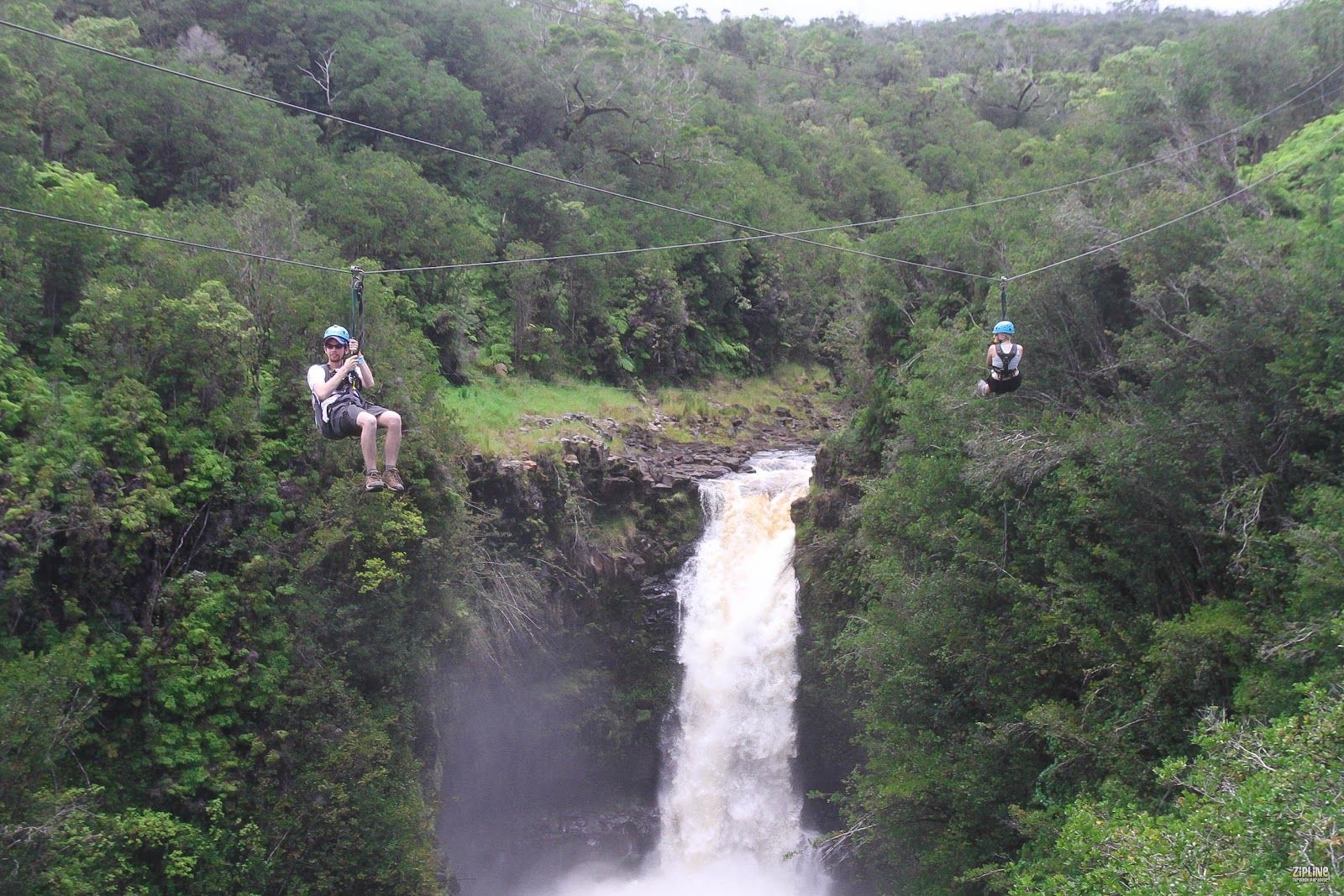 Photo 1 of Big Island Hilo Tours in Hilo, Big Island