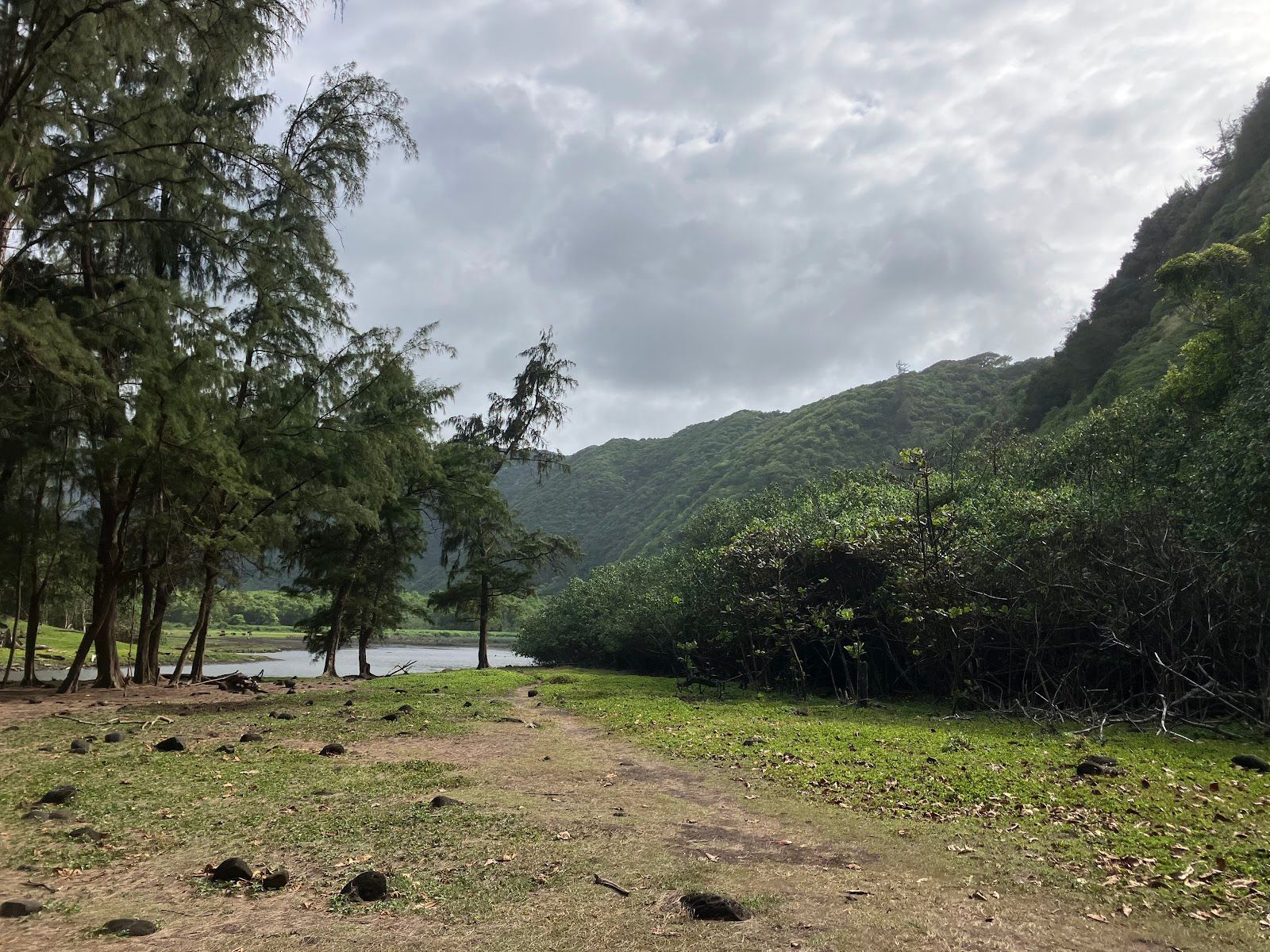 Photo 8 of Pololu Trail in North Kohala, Big Island