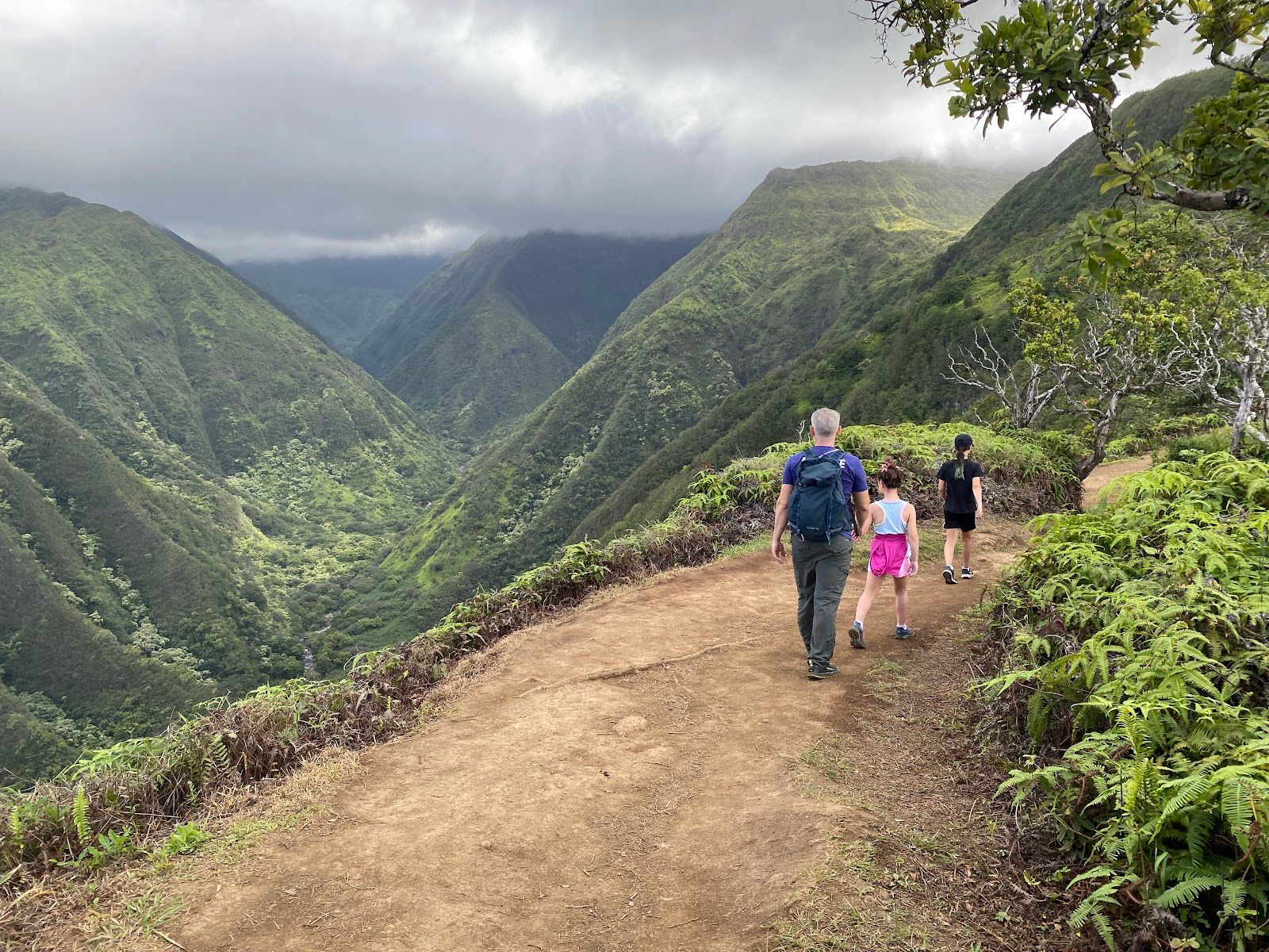 Photo 2 of Waihee Ridge Trail in Wailuku, Maui