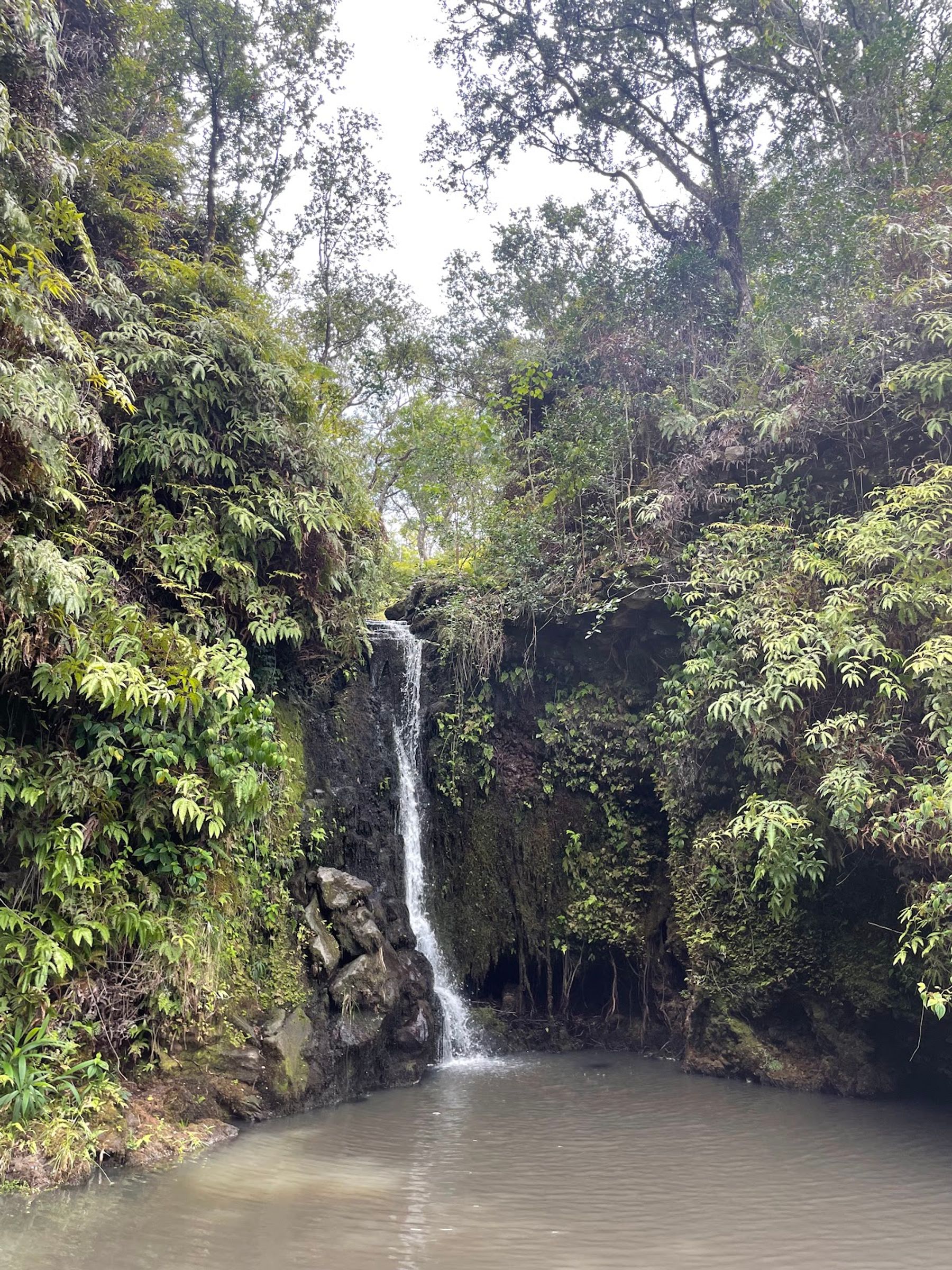 Photo 3 of Kohala UTV Adventure in North Kohala, Big Island