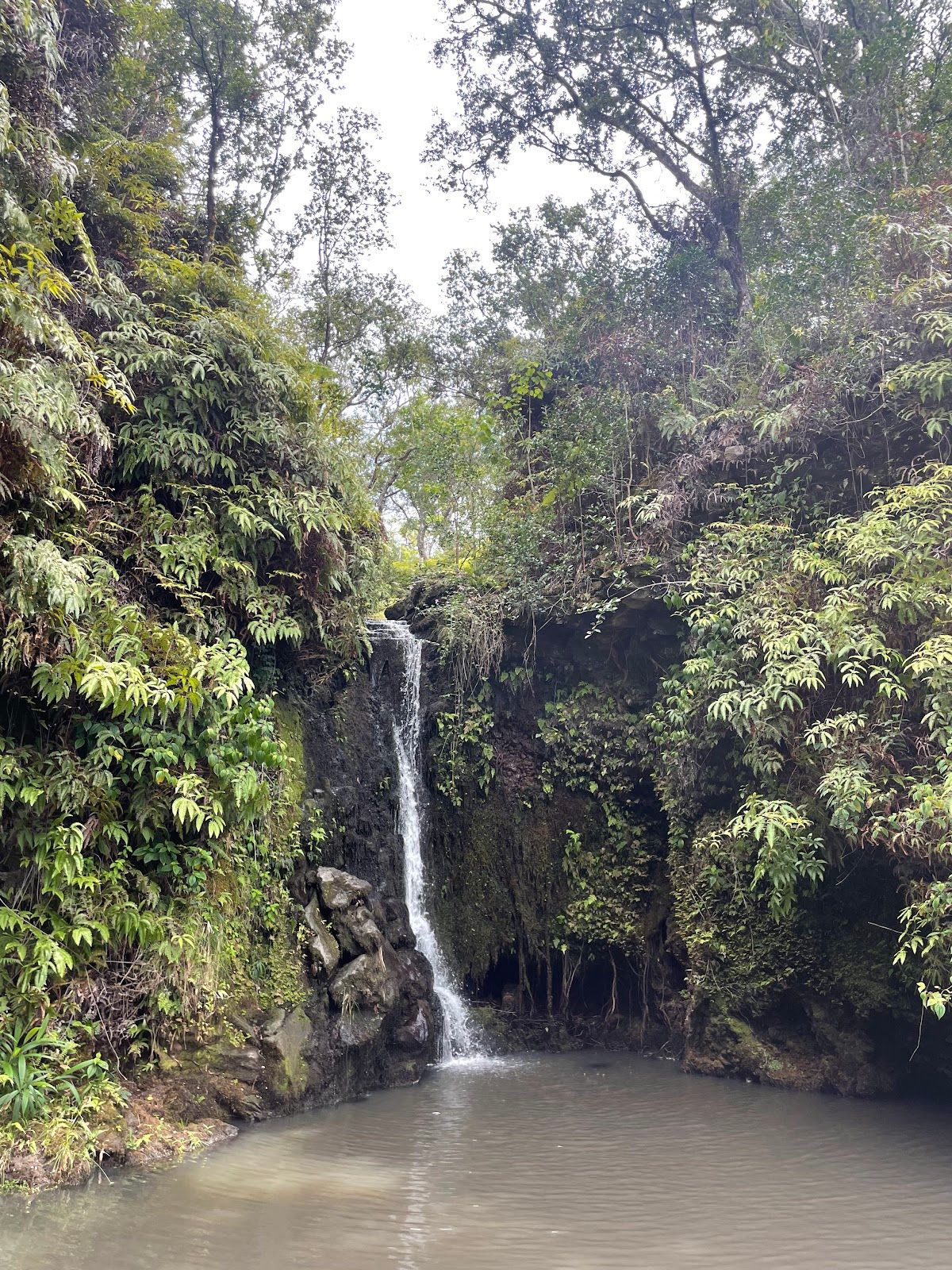 Photo 3 of Kohala UTV Adventure in North Kohala, Big Island