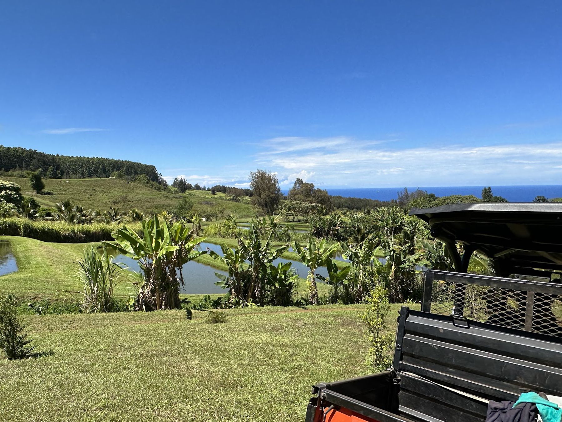 Photo 1 of All About the View ATV UTV Scenic Tour in Waipiʻo, Big Island