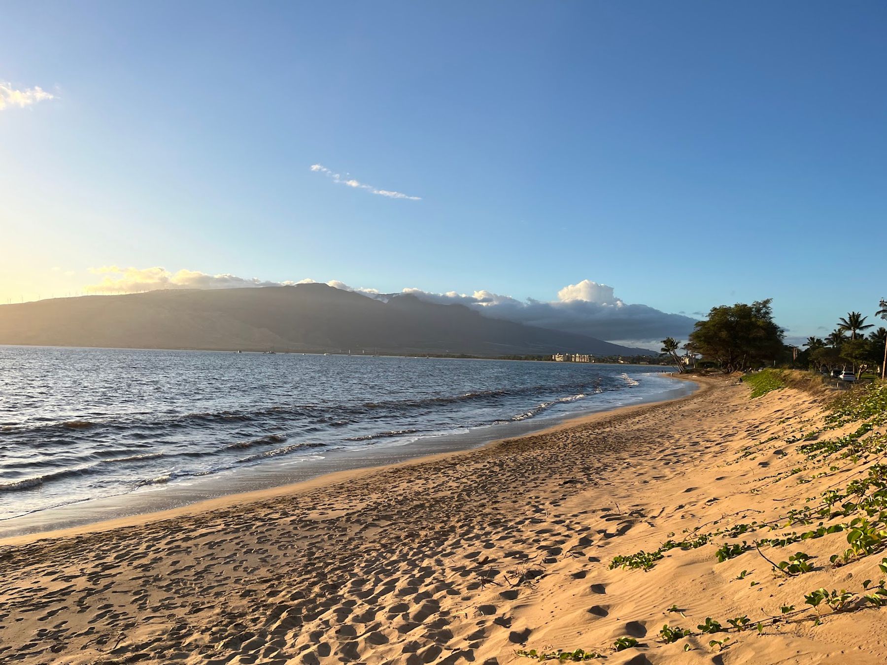 Photo 6 of Mai Poina Beach Park in Kīhei, Maui