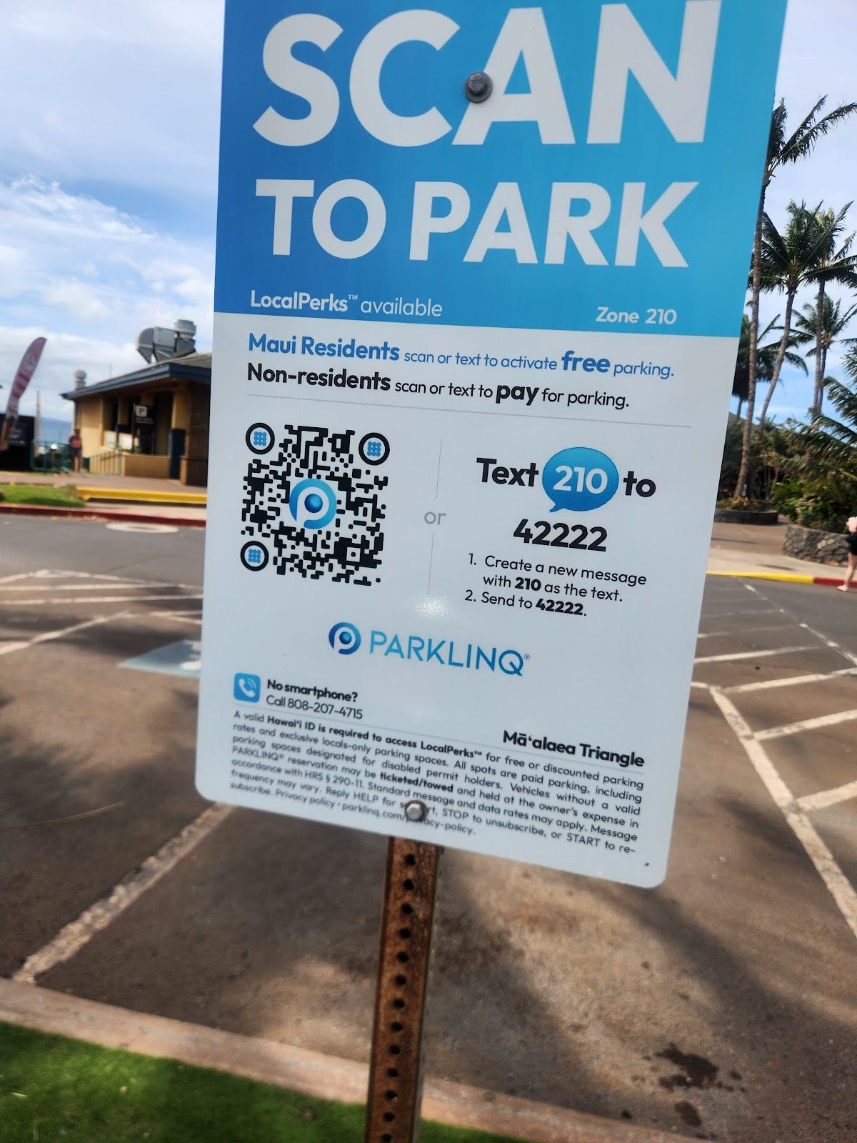 Photo 5 of Quicksilver in Māʻalaea, Maui