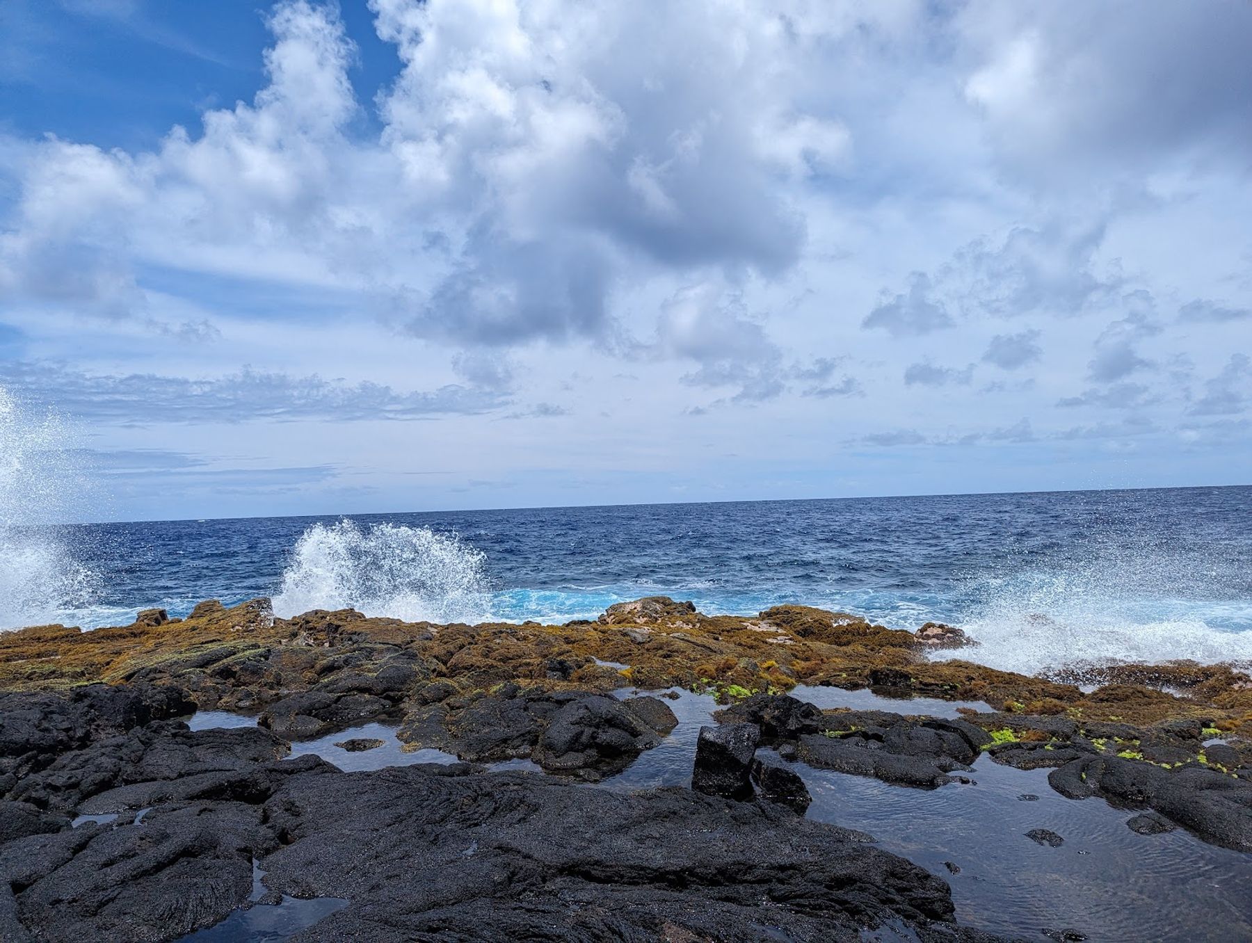 Photo 5 of MacKenzie State Recreation Area in Kalapana, Big Island