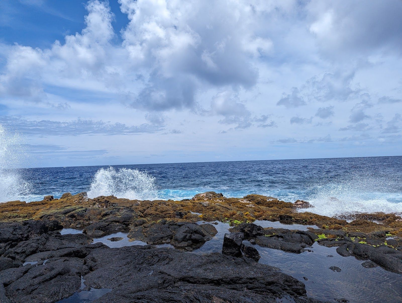 Photo 5 of MacKenzie State Recreation Area in Kalapana, Big Island