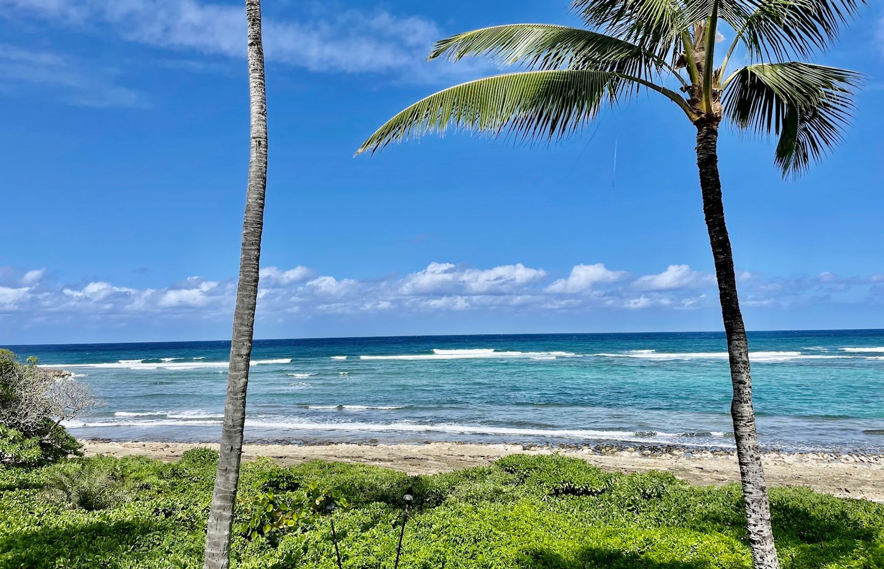 Photo 7 of Turtle Beach in Kahuku & Turtle Bay, Oahu