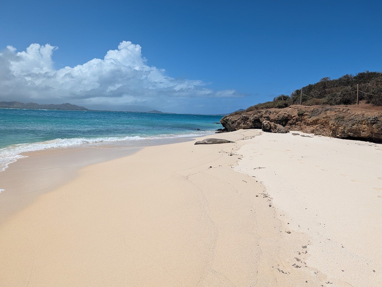 Photo 8 of Island Water Sports Hawaii in Hawaiʻi Kai & East Honolulu, Oahu