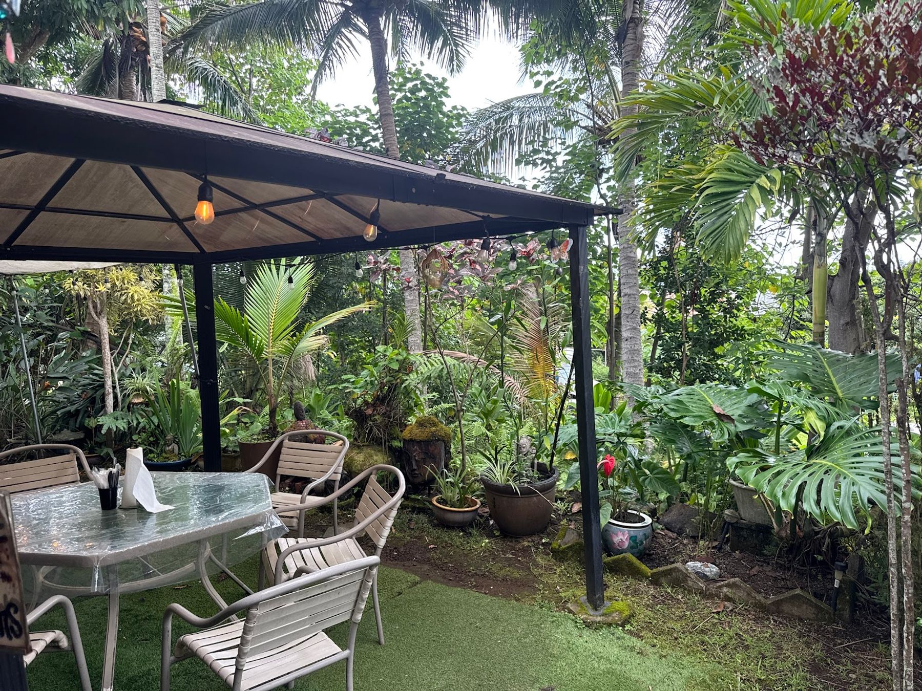Photo 7 of South Kona Grindz in South Kona, Big Island