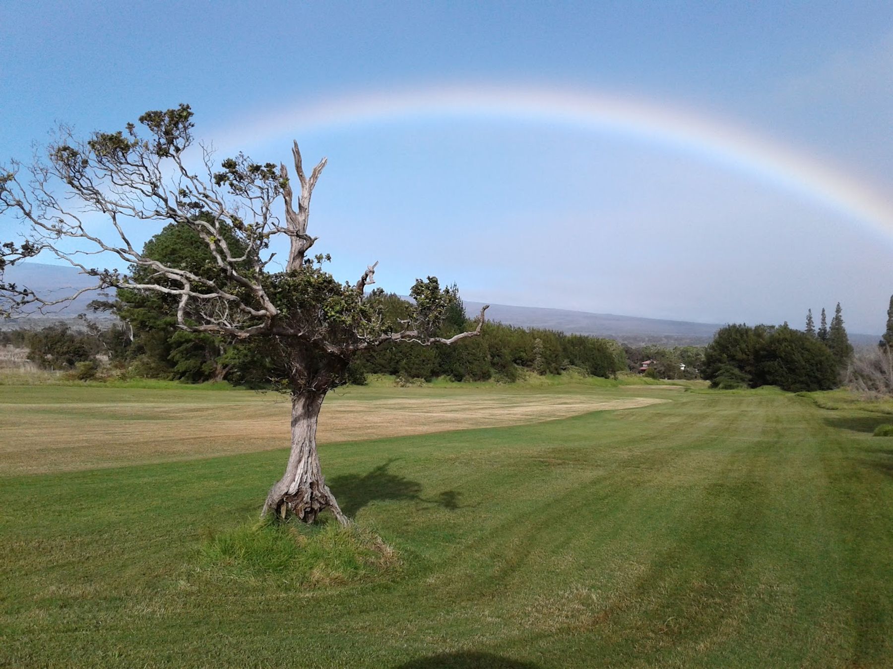 Photo 7 of Volcano Golf Course in Volcano, Big Island