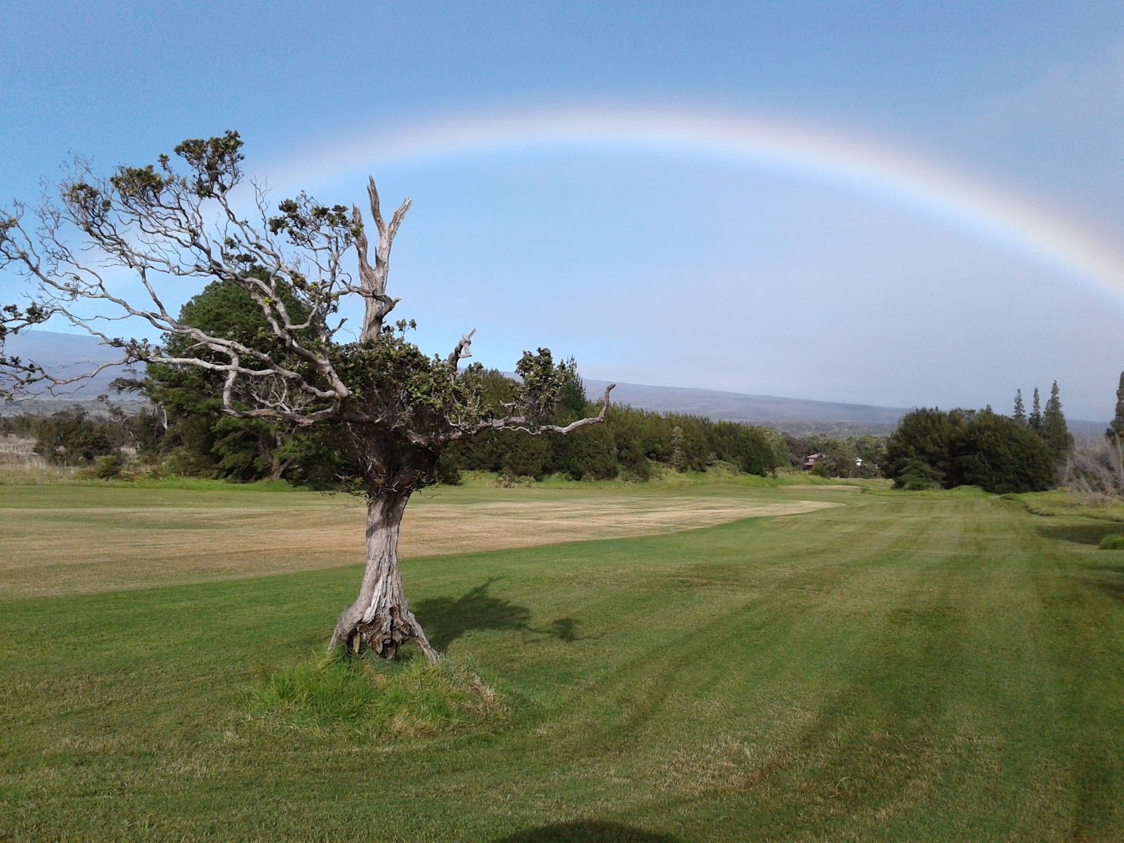 Photo 7 of Volcano Golf Course in Volcano, Big Island