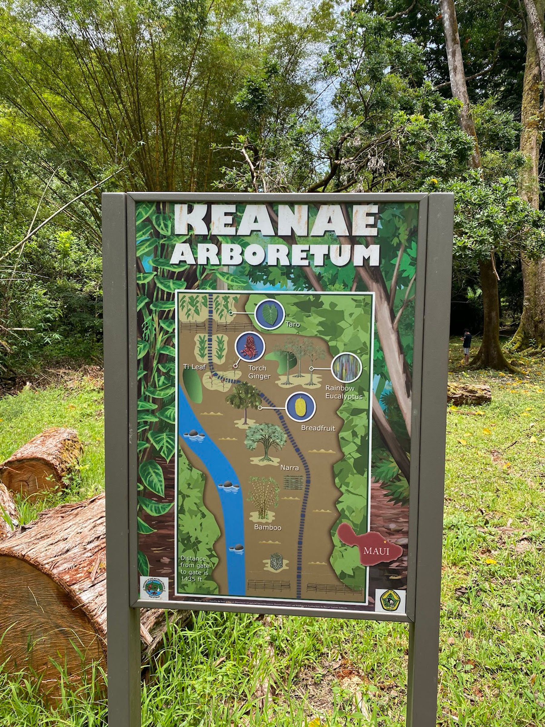 Photo 2 of Ke'anae Arboretum in Keʻanae-Nāhiku, Maui