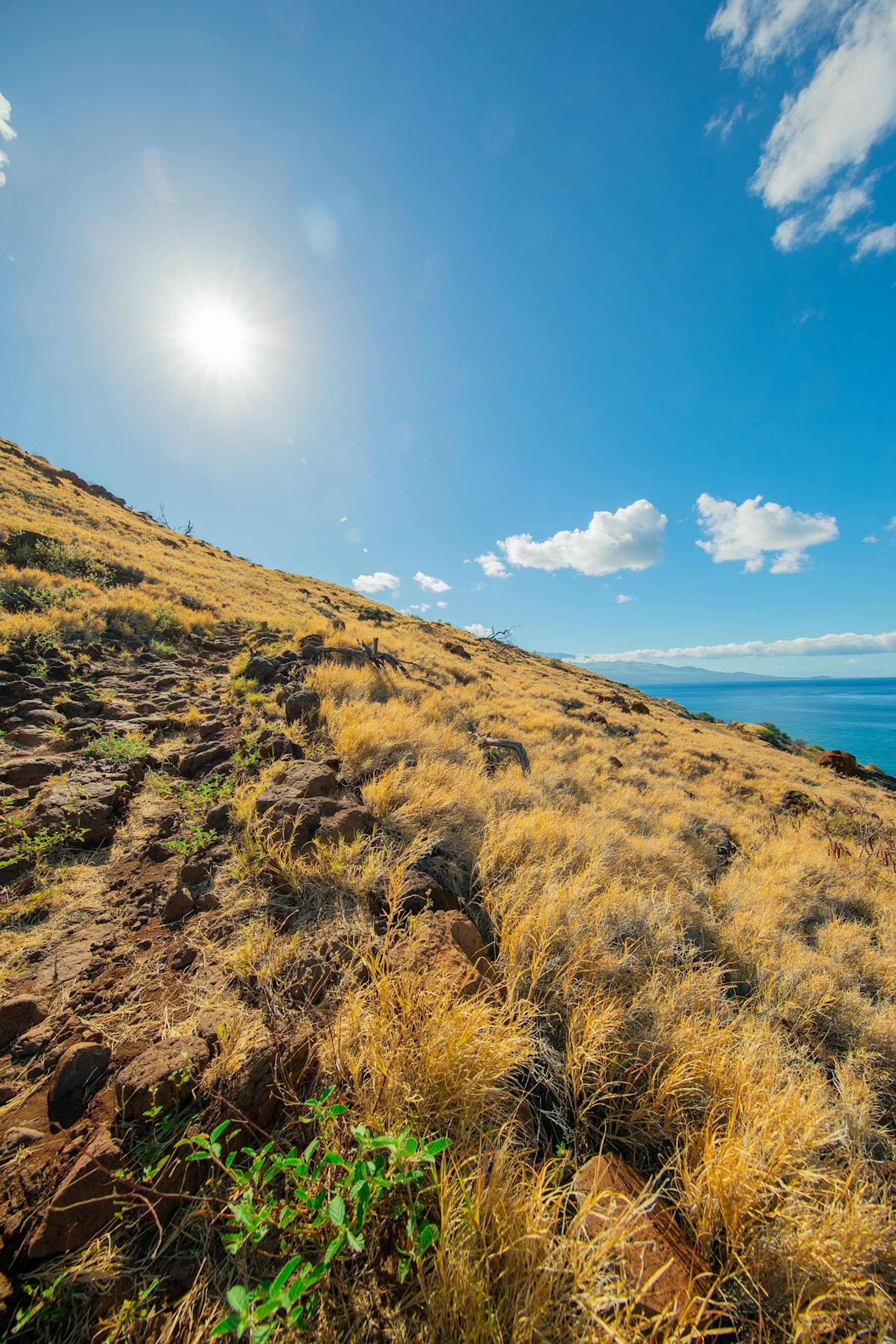Photo 5 of Lahaina Pali Trail in Māʻalaea, Maui