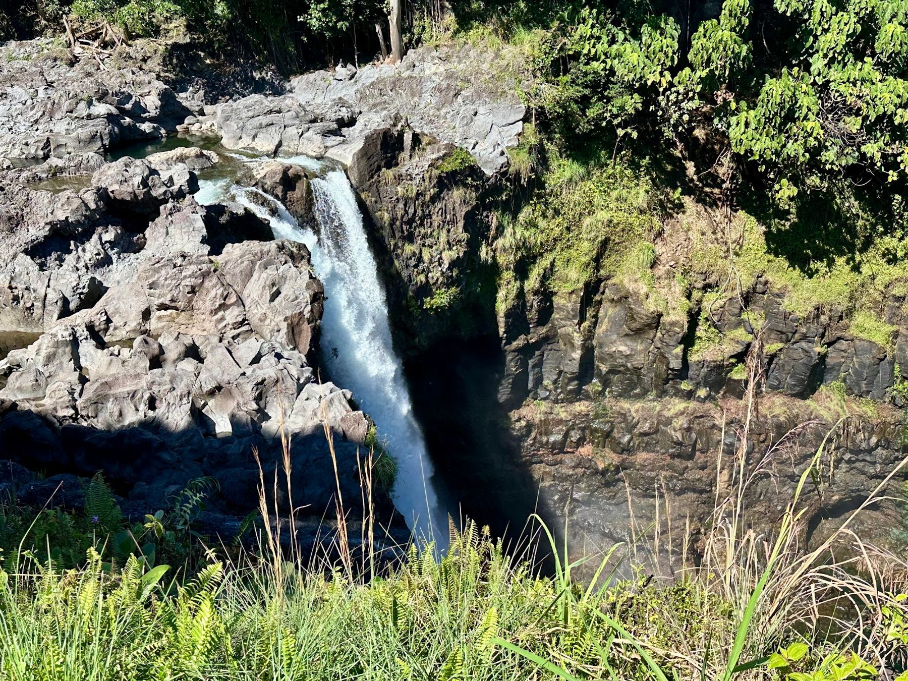 Photo 10 of Rainbow Falls in Hilo, Big Island