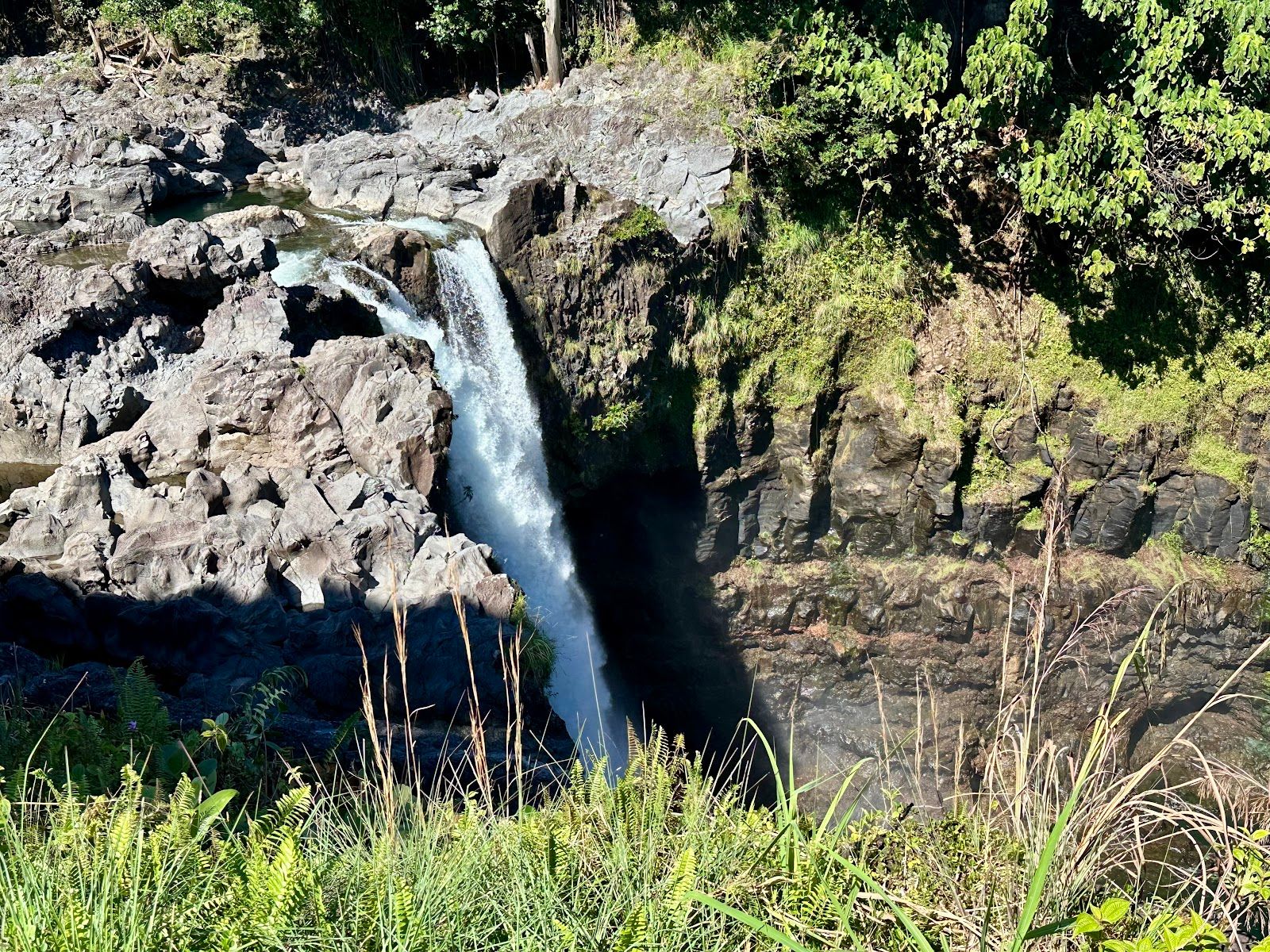 Photo 10 of Rainbow Falls in Hilo, Big Island